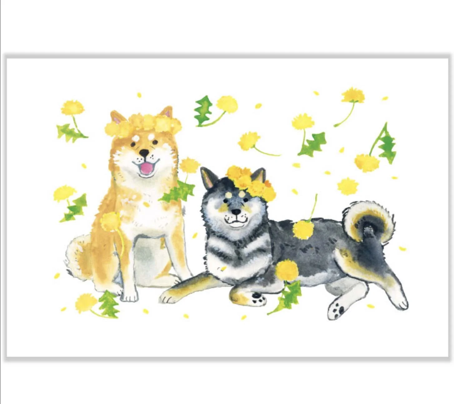 Screenshot 2026-02-10 at 23.43.53.jpg