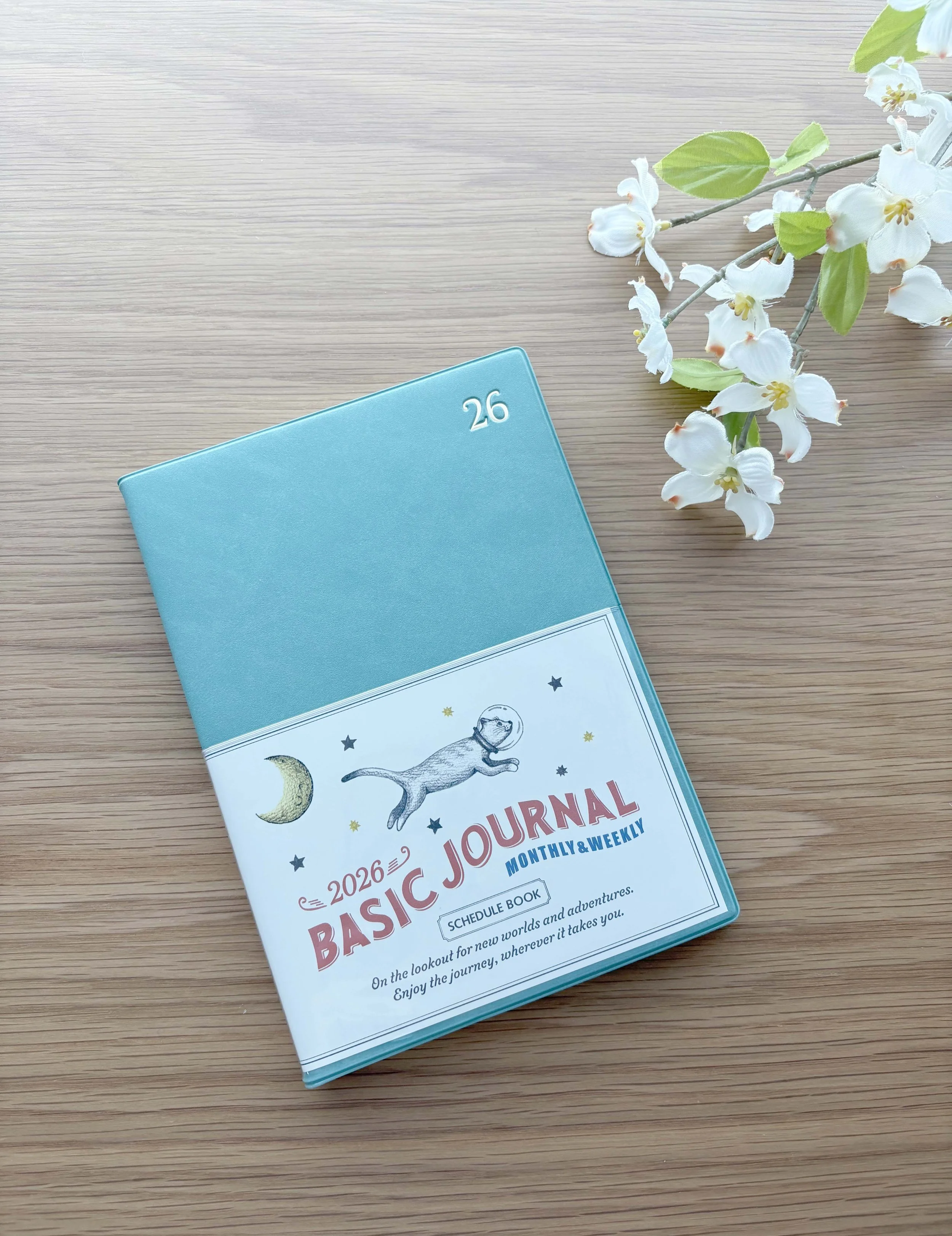NEW 2026 B6 Size - Ryu-Ryu Diary Planner / Calendar - Soft Leather Plastic Cover -Mint Green Space Cat