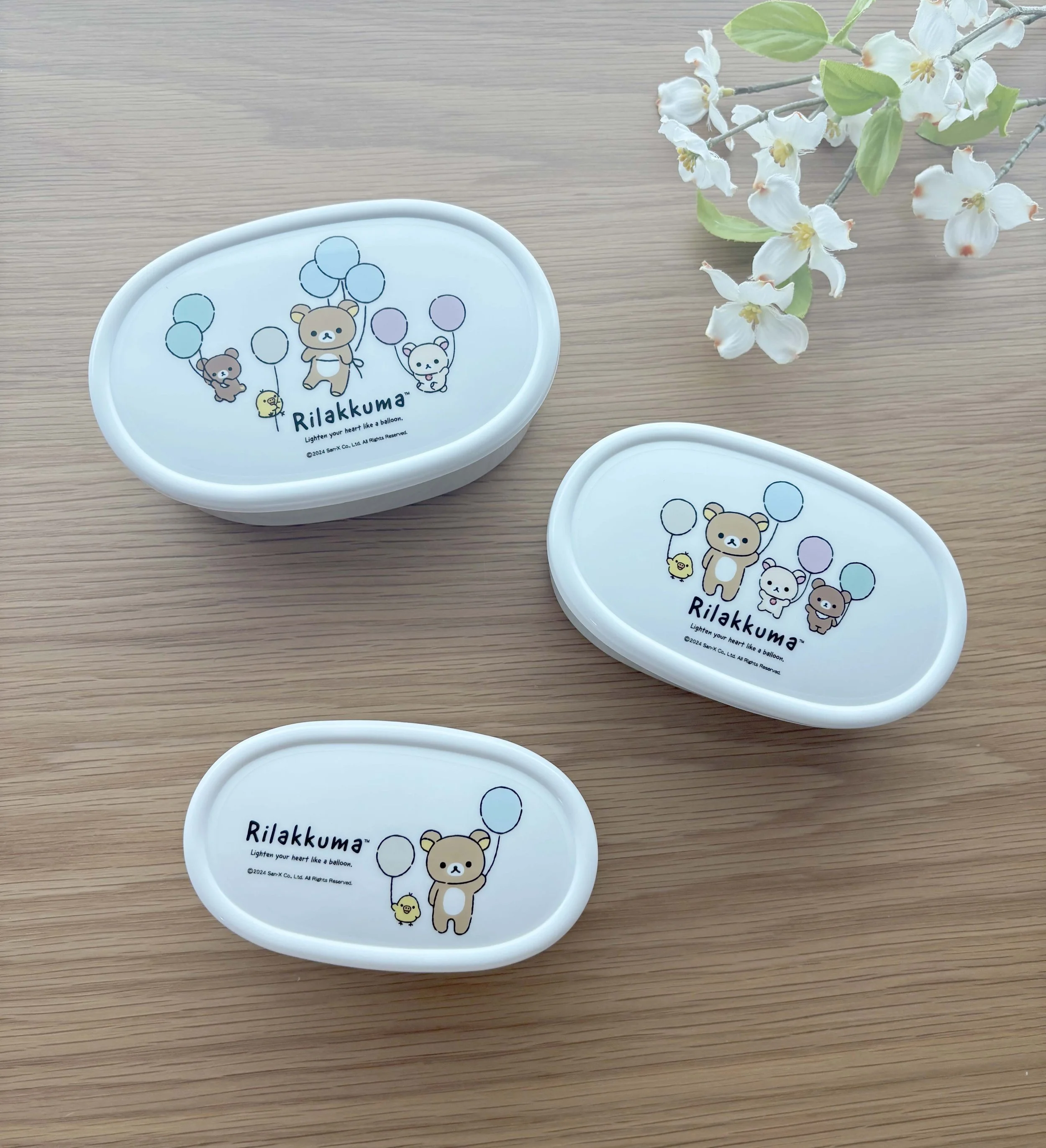  NEW Bento Containers 