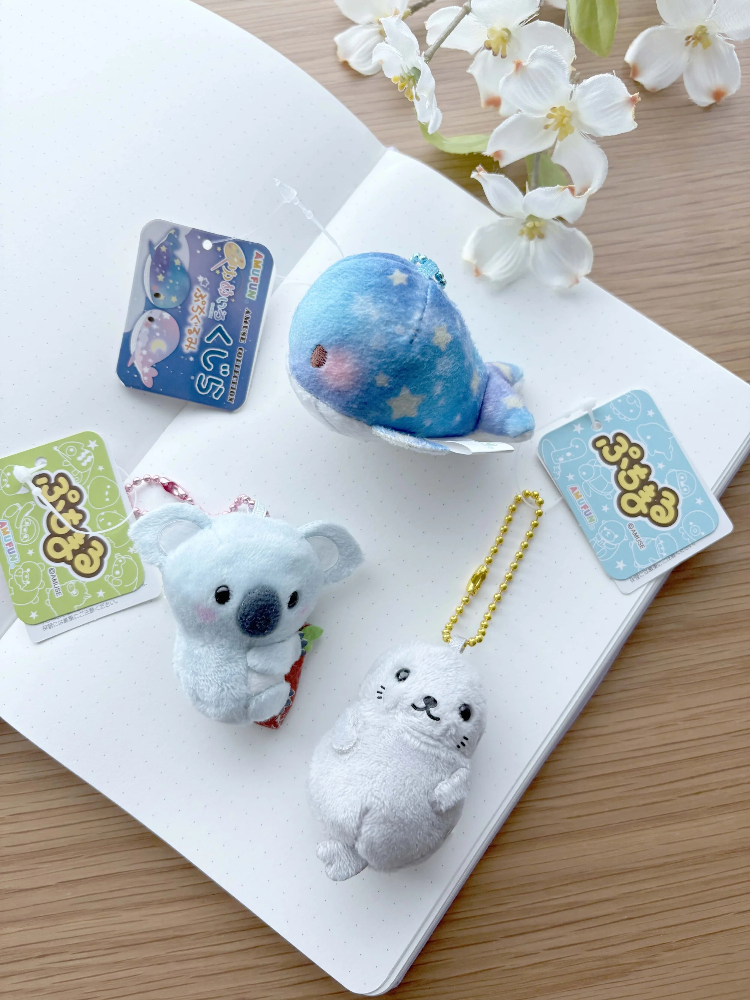 Sailor x Eggnworks Gift Set Box