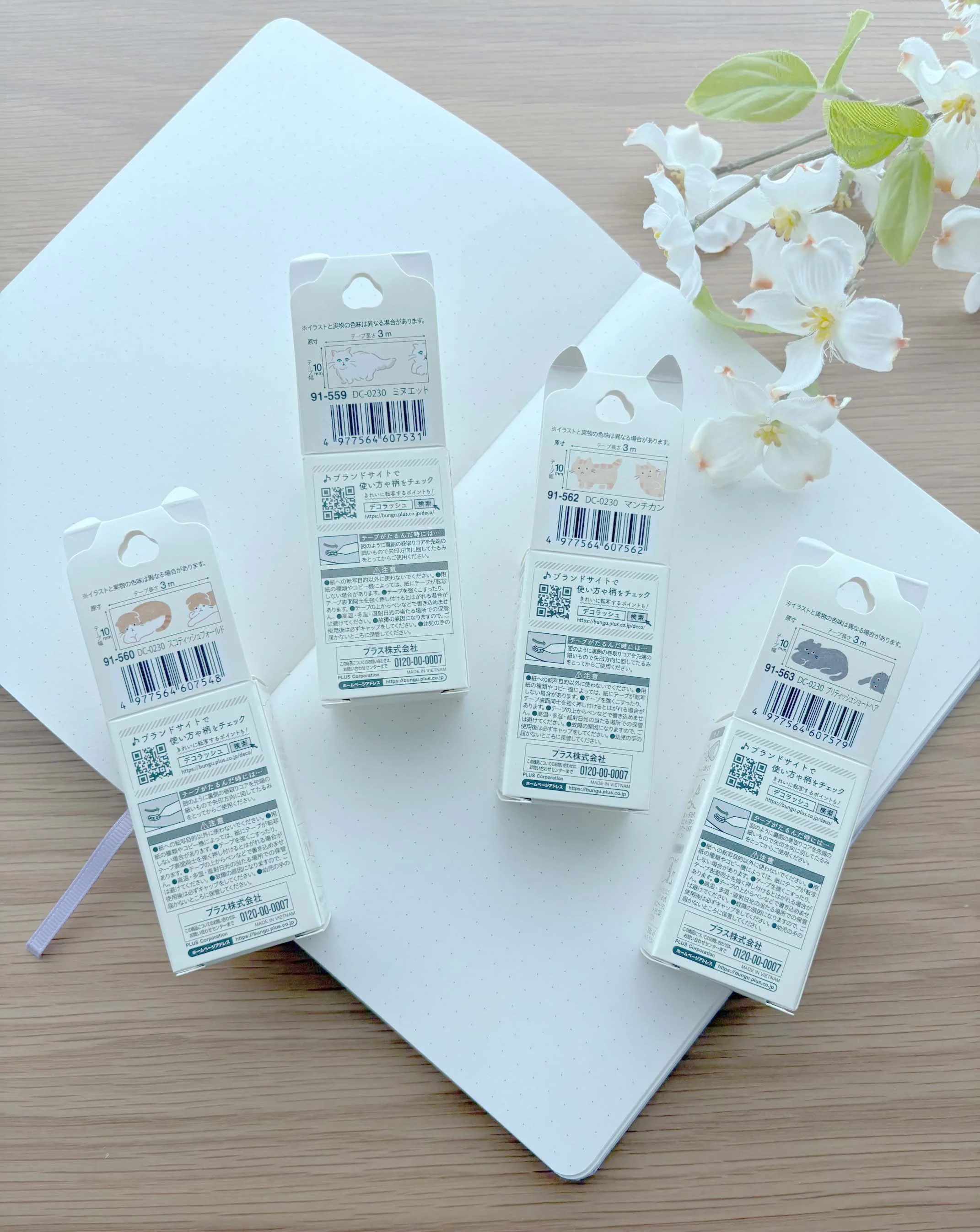 IMG_3455 (1).jpg (Copy)