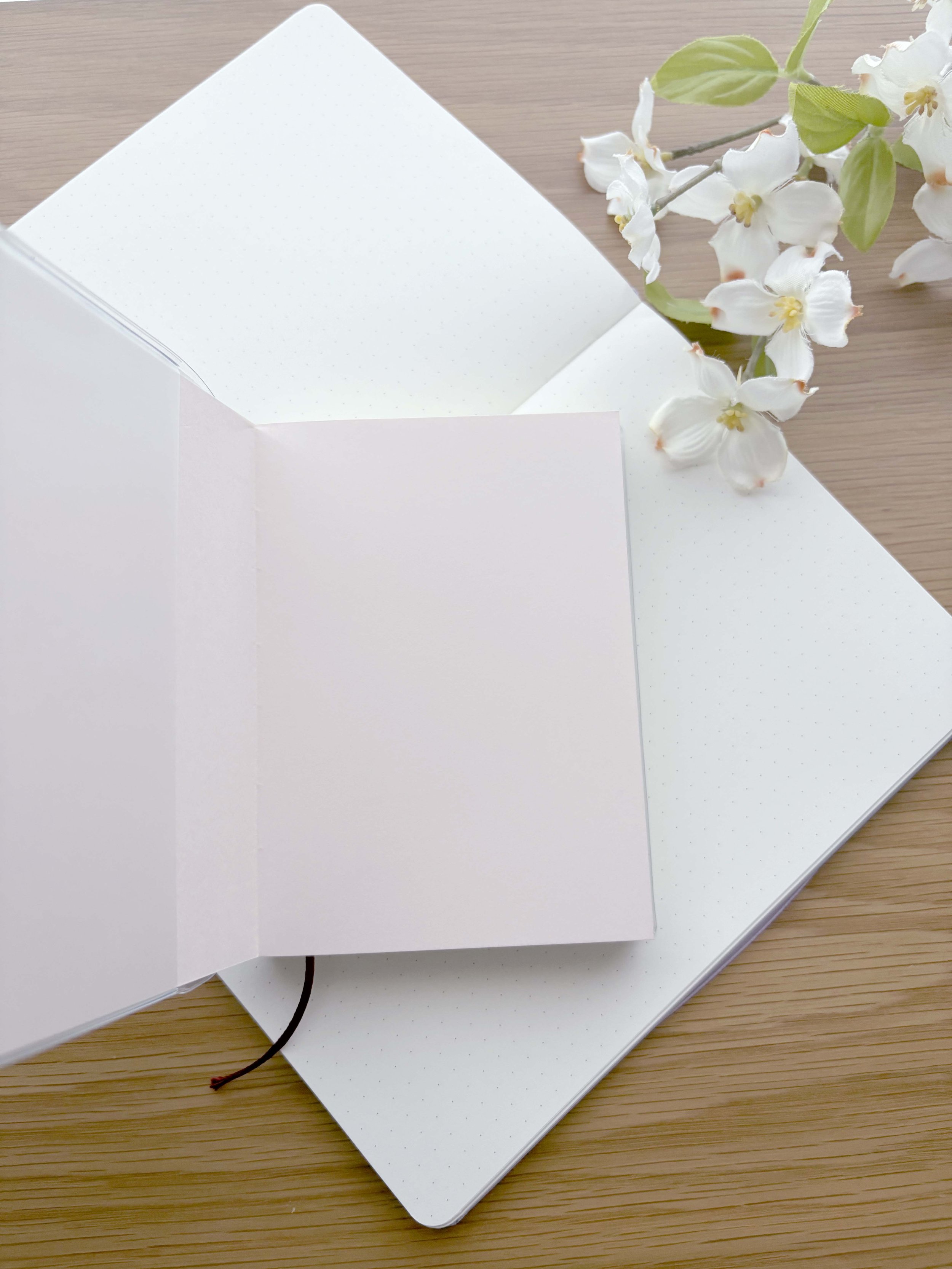 IMG_2461.jpg (Copy) (Copy)