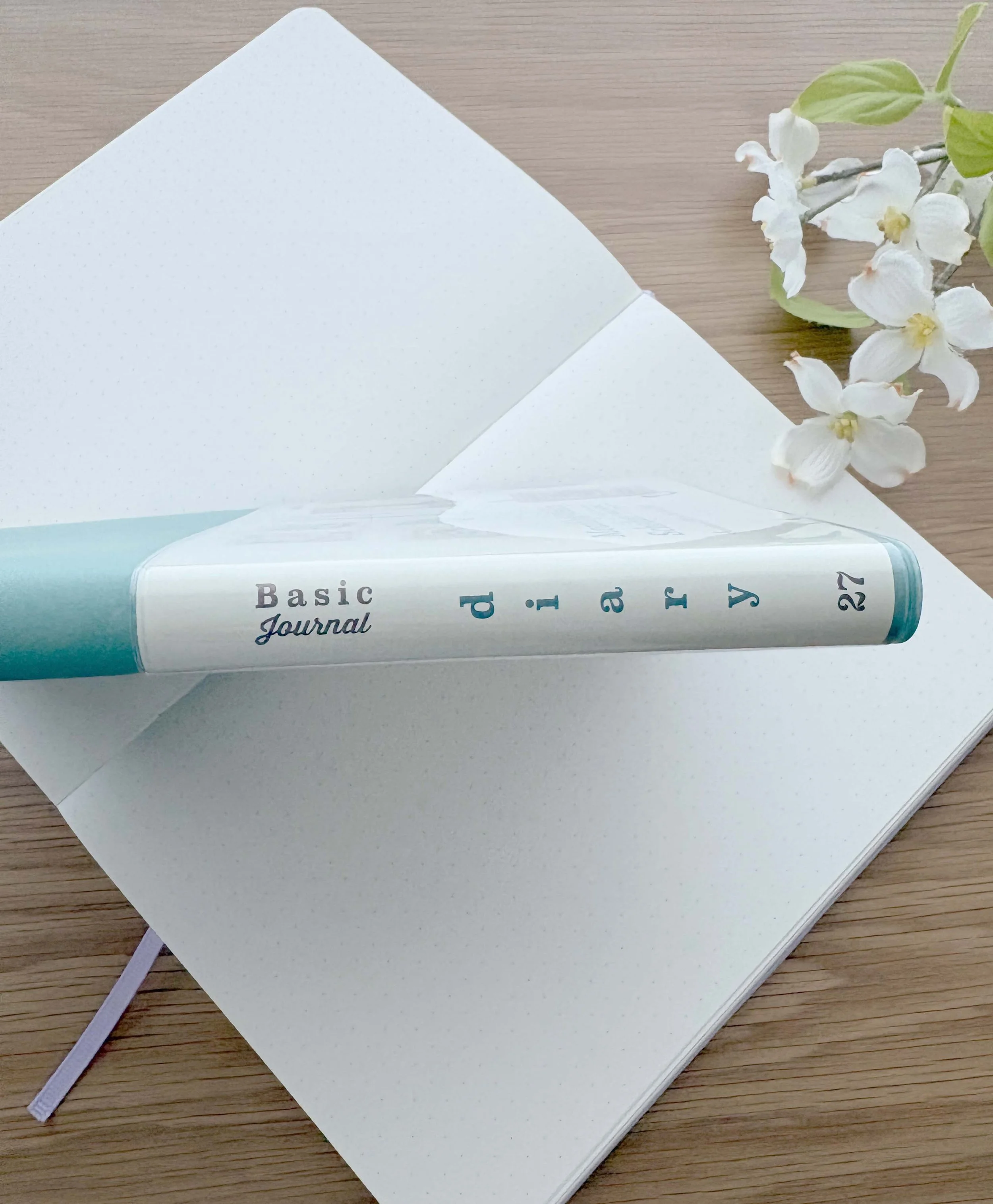 IMG_6618.jpg