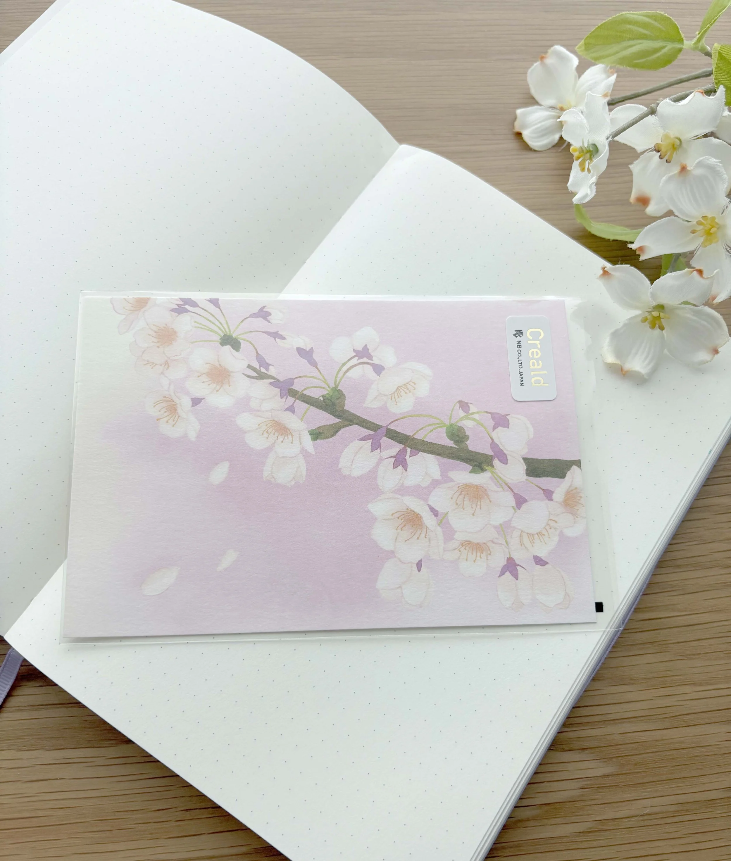 NEW Postcard - Spring Cherry Blossom Flowers