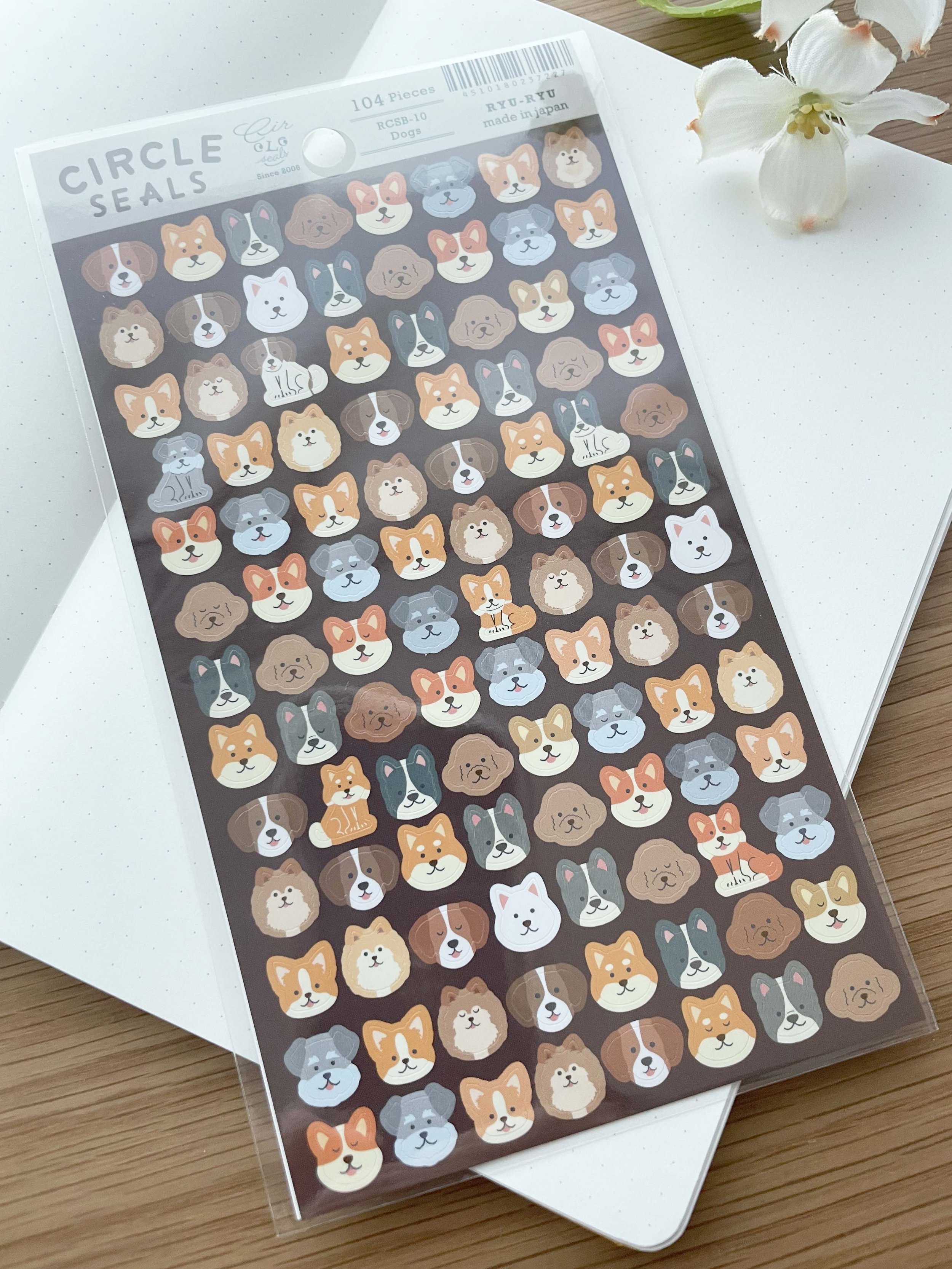 IMG_9749 copy.jpg (Copy)