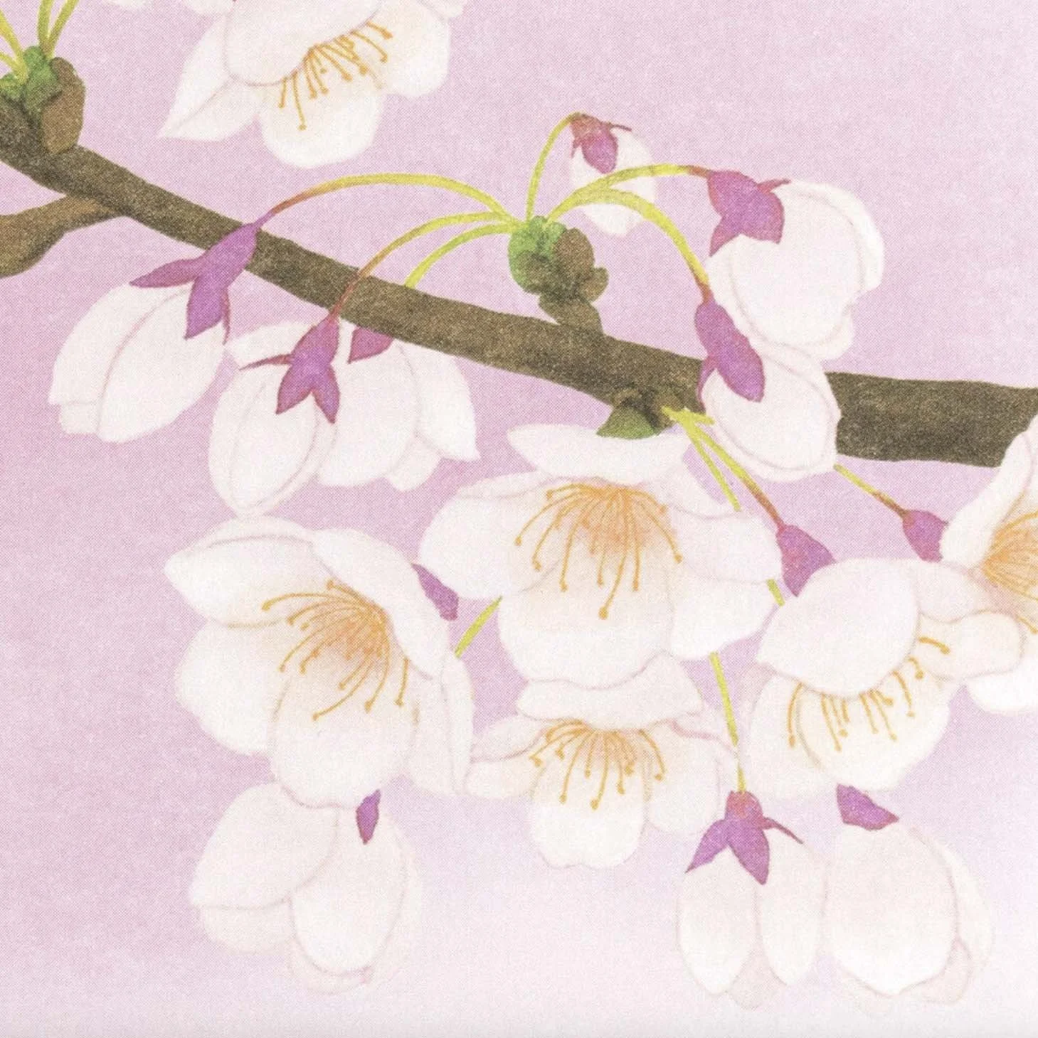 Screenshot 2026-03-16 at 13.39.09.jpg