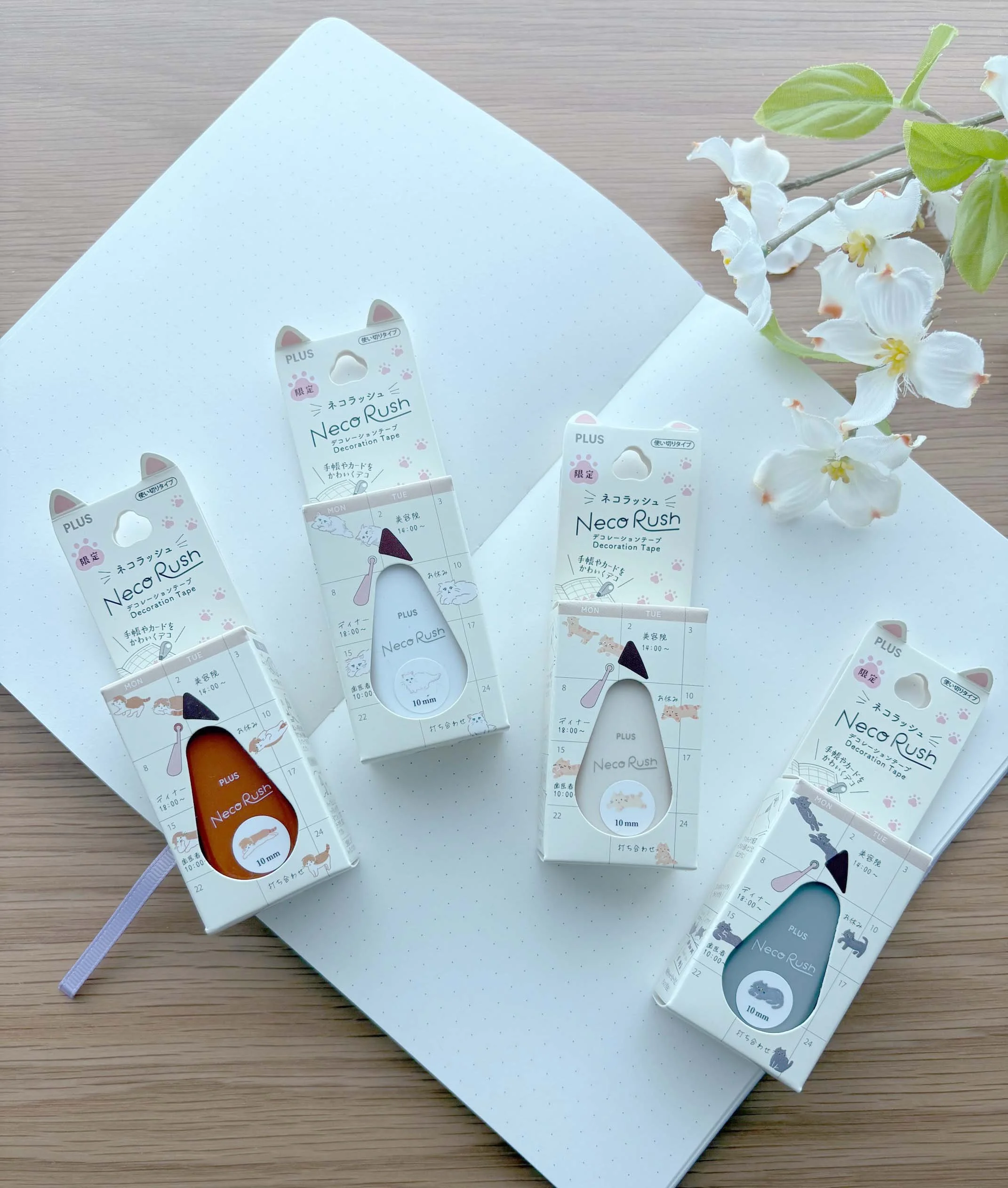 IMG_3454 (1).jpg (Copy)