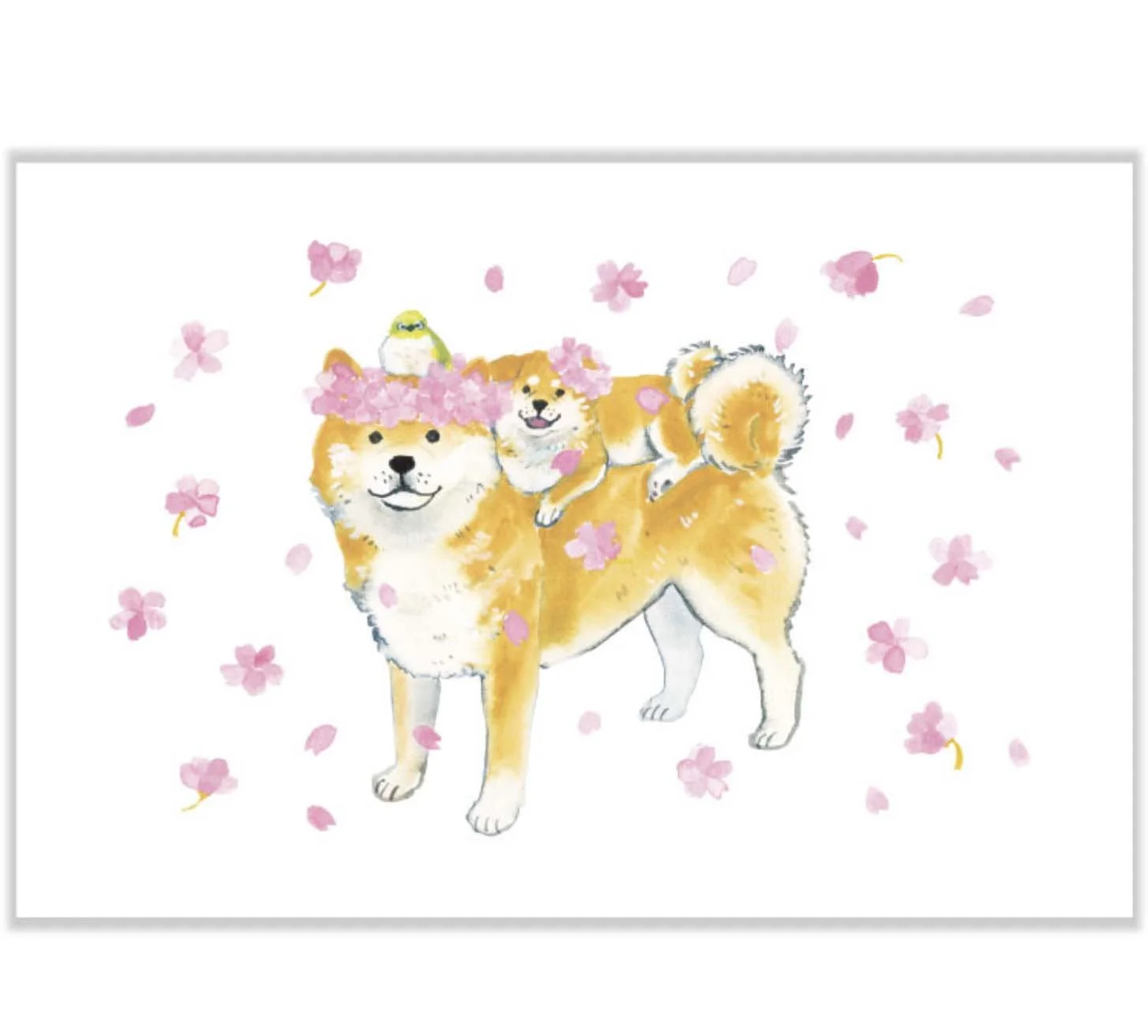 Screenshot 2026-02-10 at 23.43.44.jpg