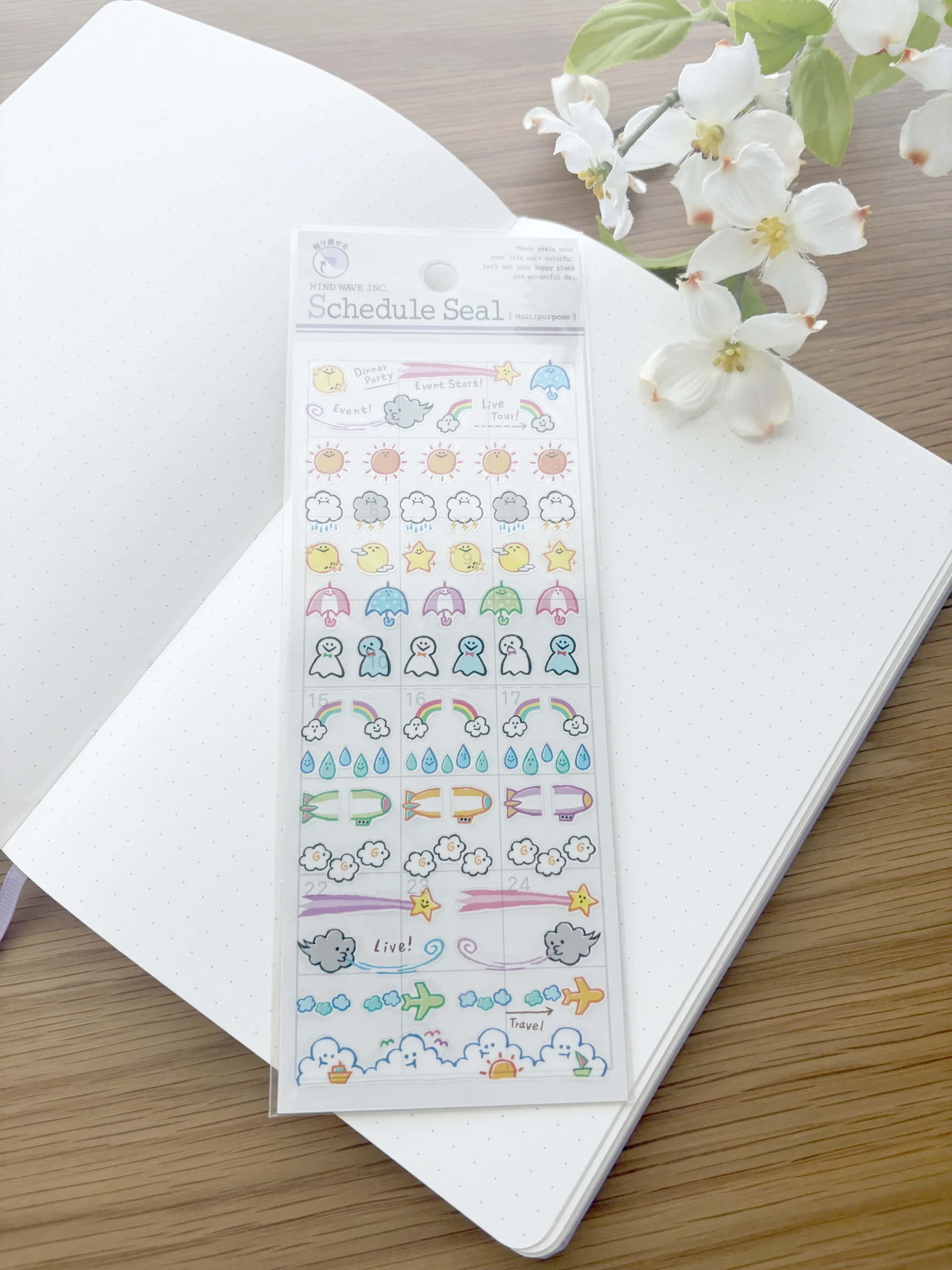 NEW Clear Planner Stickers - Weather Days