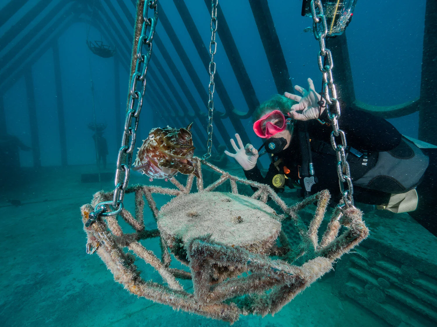 Museum of Underwater Art, Townsville — Yongala Dive