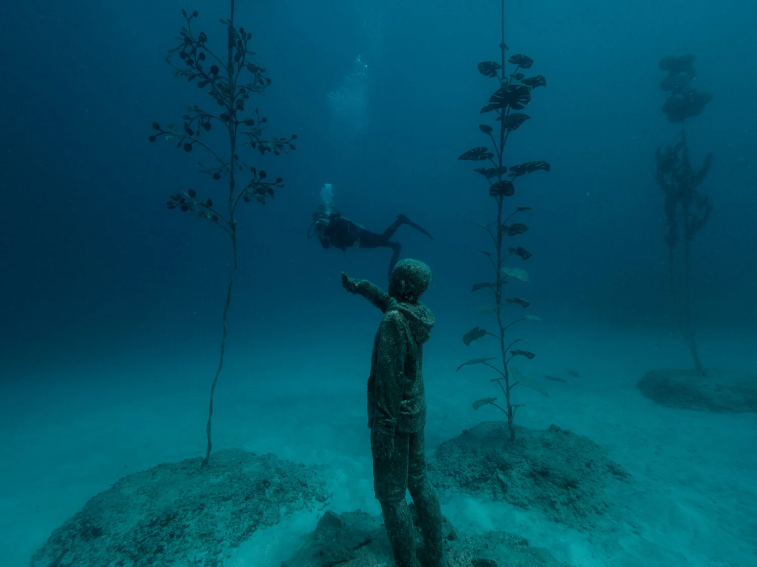 Museum of Underwater Art, Townsville — Yongala Dive