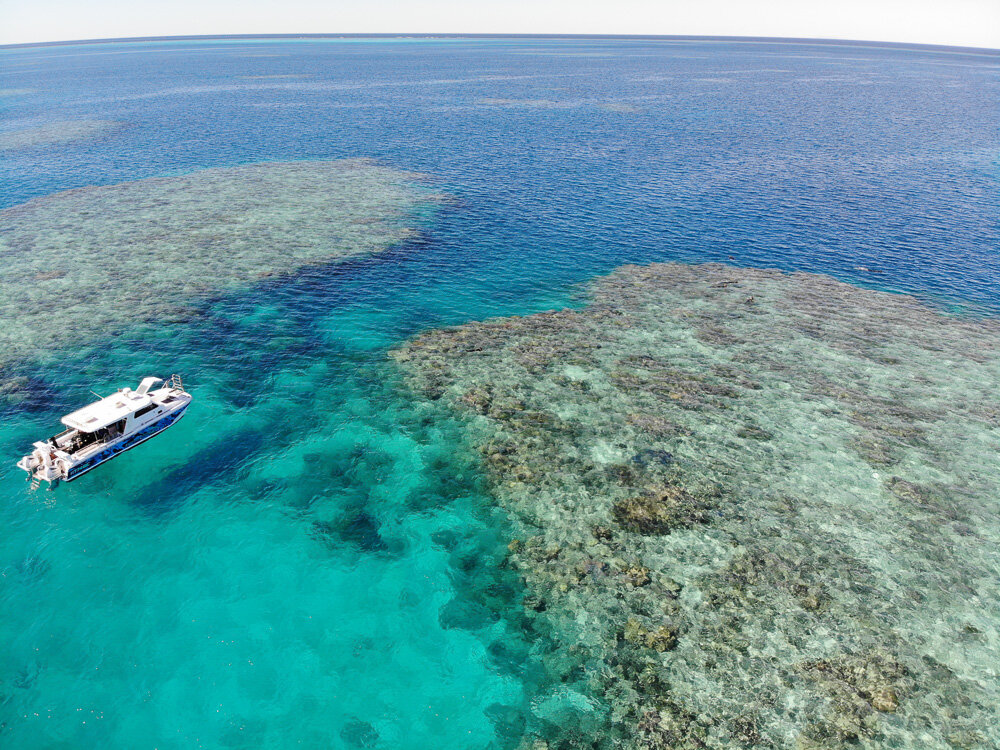 Outer Reef Trips — Yongala Dive