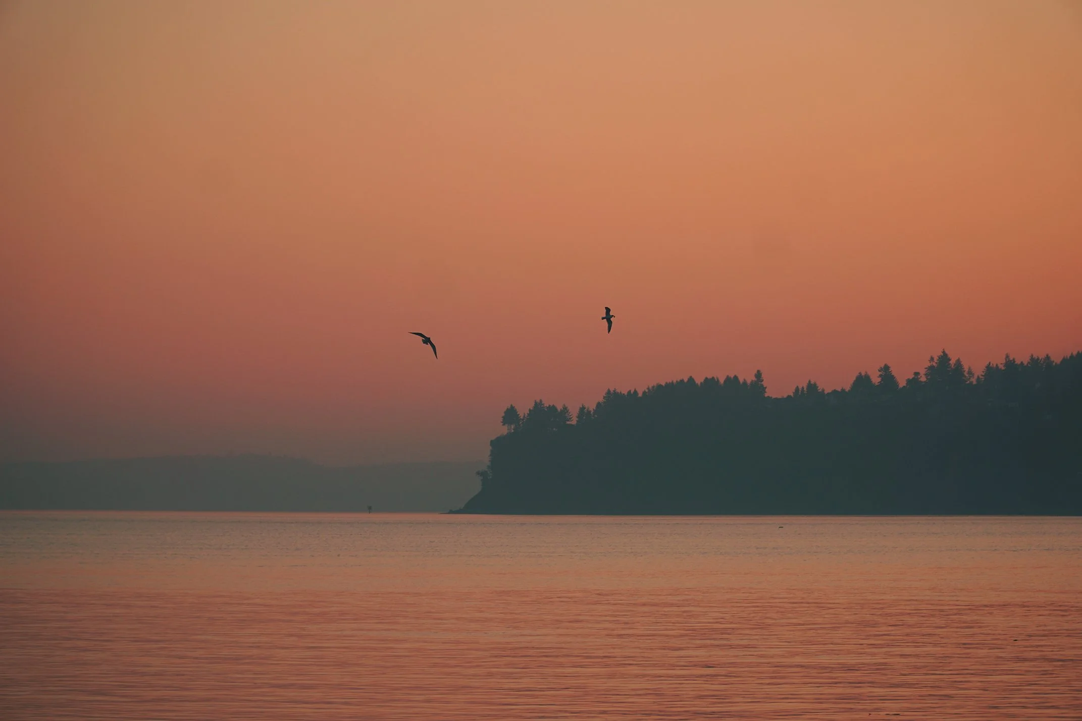 A Guide to Washington Weather What is the Weather in Wa Really Like? — Laura