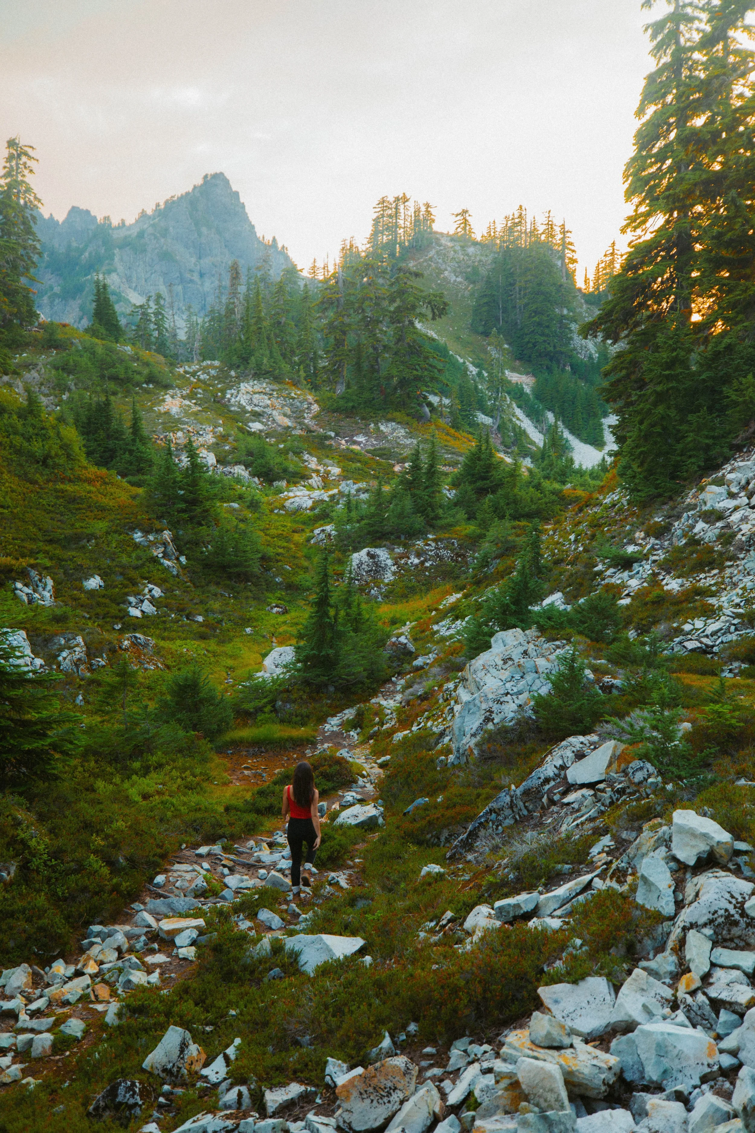 Best Spring Hikes if you live in Tacoma, WA