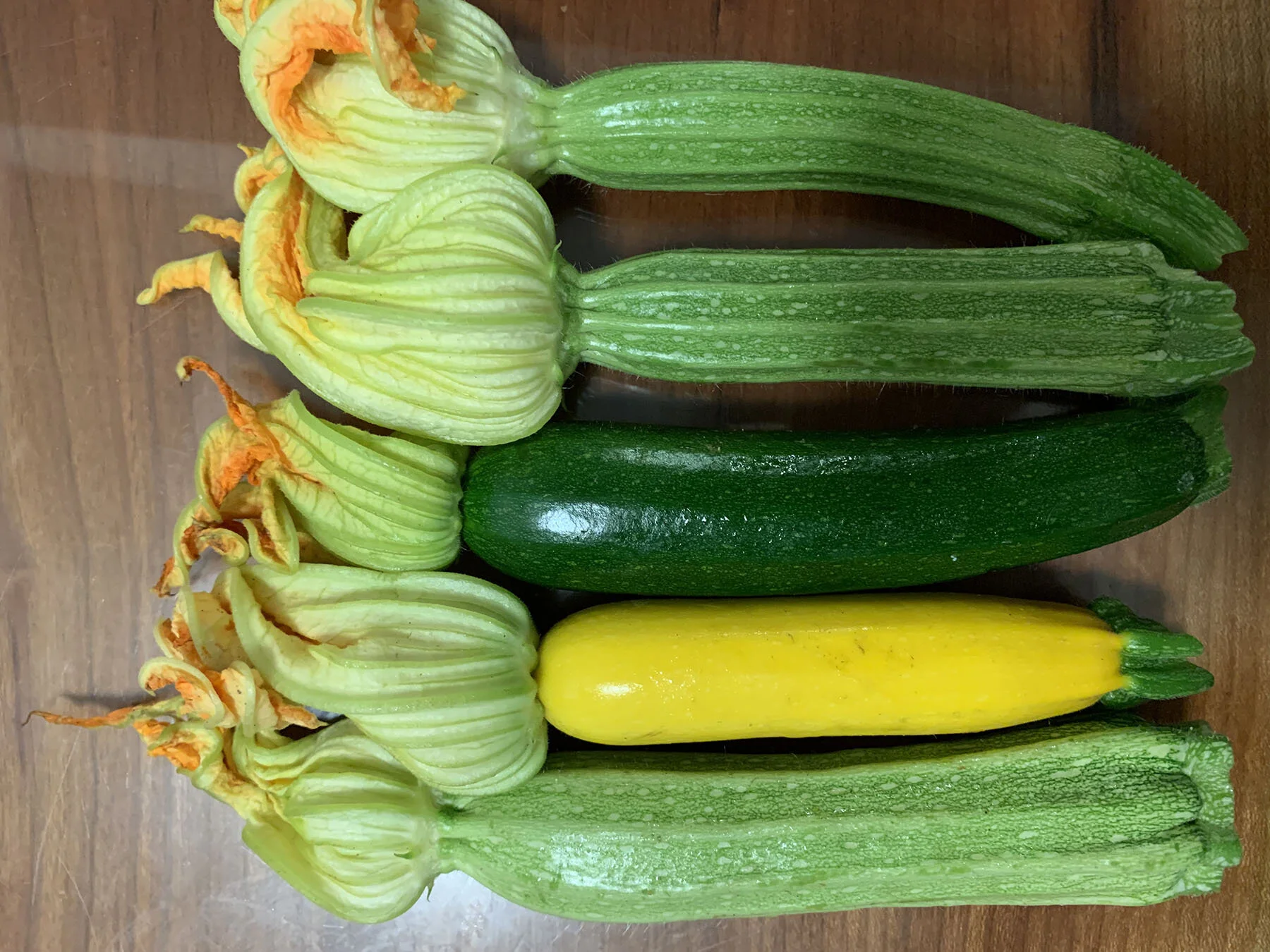 Zucchini