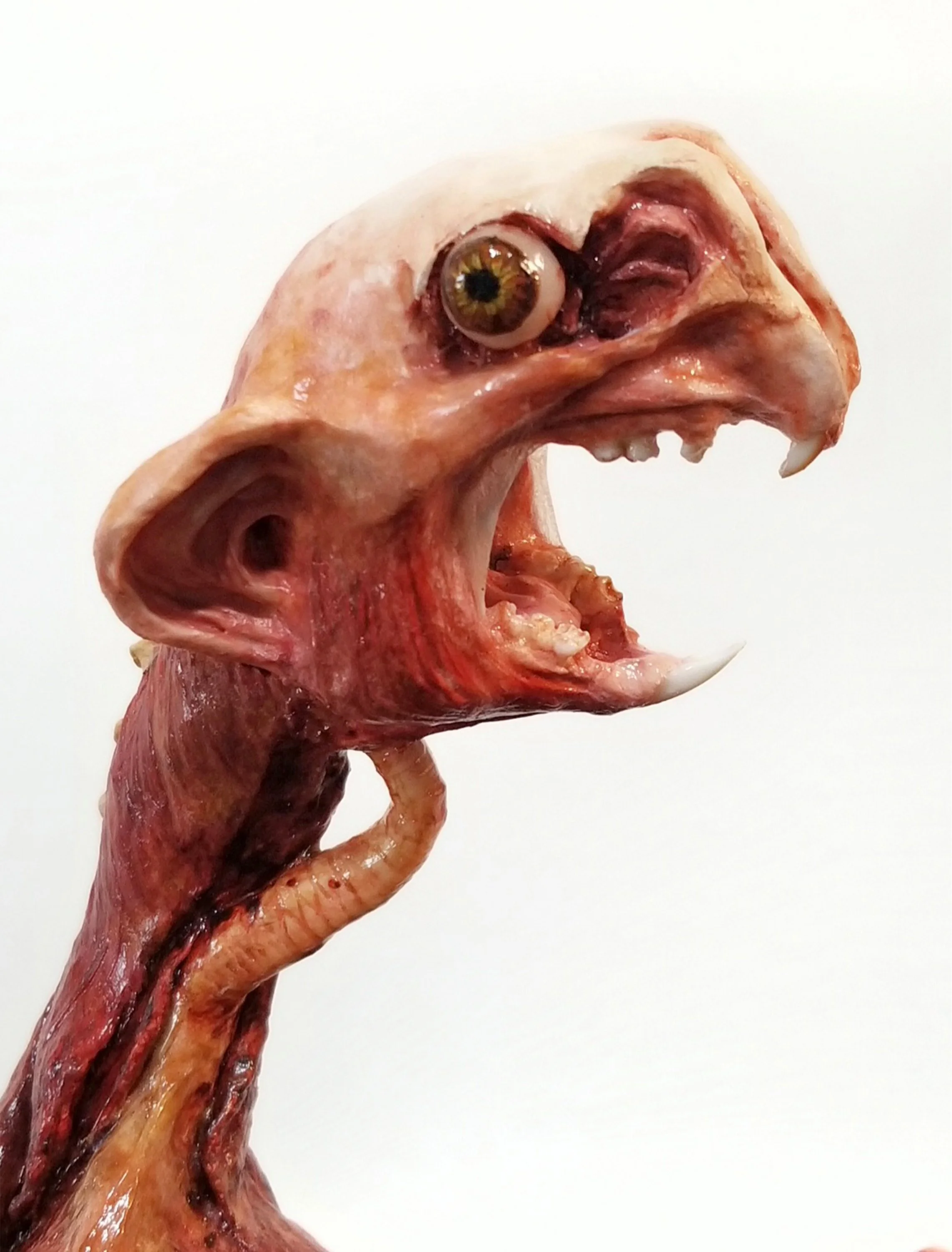 “Arbores Scandit Nothogenera”
:Unnatural History Ecorche:
Stone clay, polymer clay, wood, bone, acrylic mediums, & moss
12.5" x 7.5" x 5"
$450
(Details)
Email oddmoddworks@gmail.com for Shipping Inquiries
