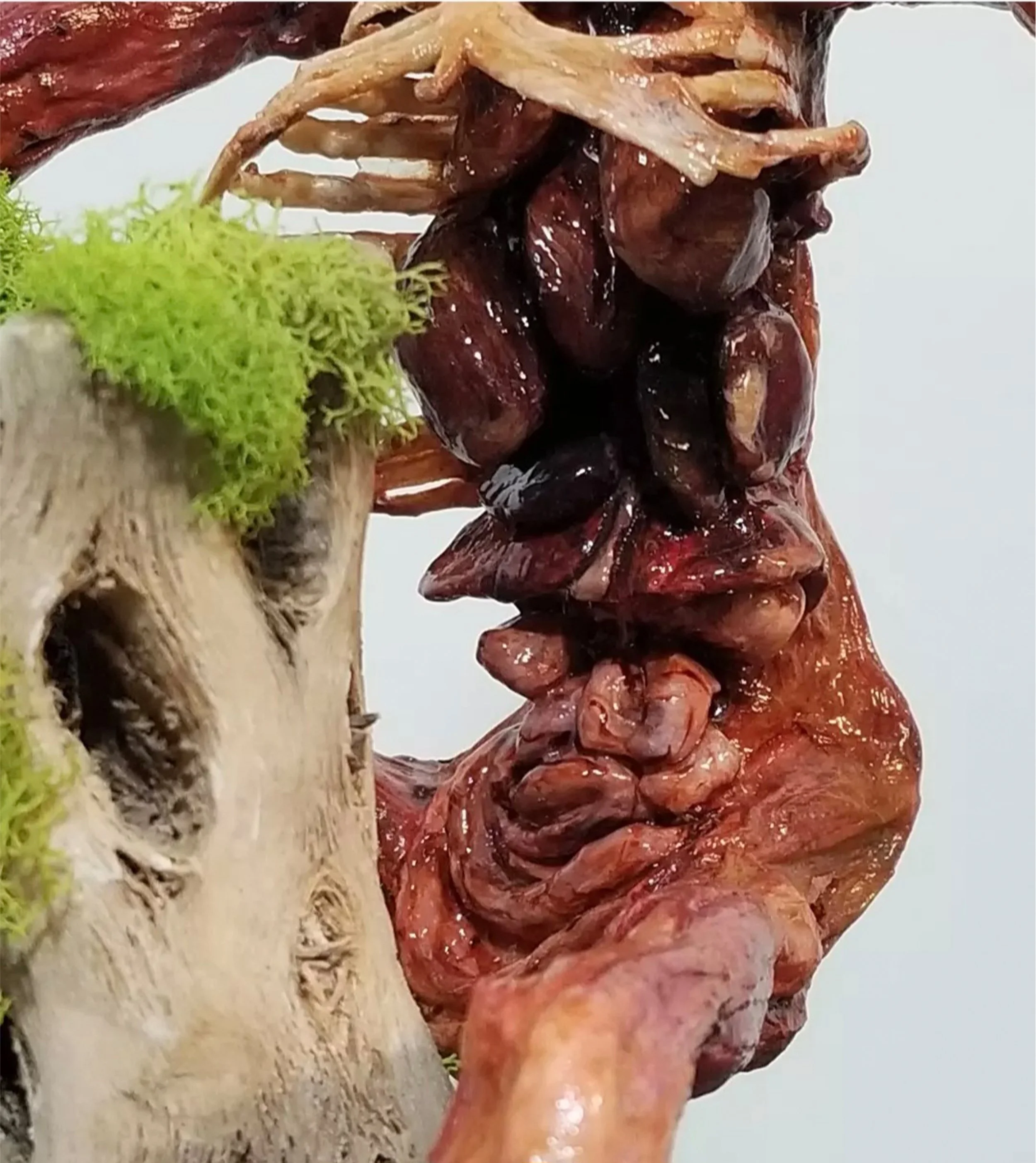 “Arbores Scandit Nothogenera”
:Unnatural History Ecorche:
Stone clay, polymer clay, wood, bone, acrylic mediums, & moss
12.5" x 7.5" x 5"
$450
(Details)
Email oddmoddworks@gmail.com for Shipping Inquiries
