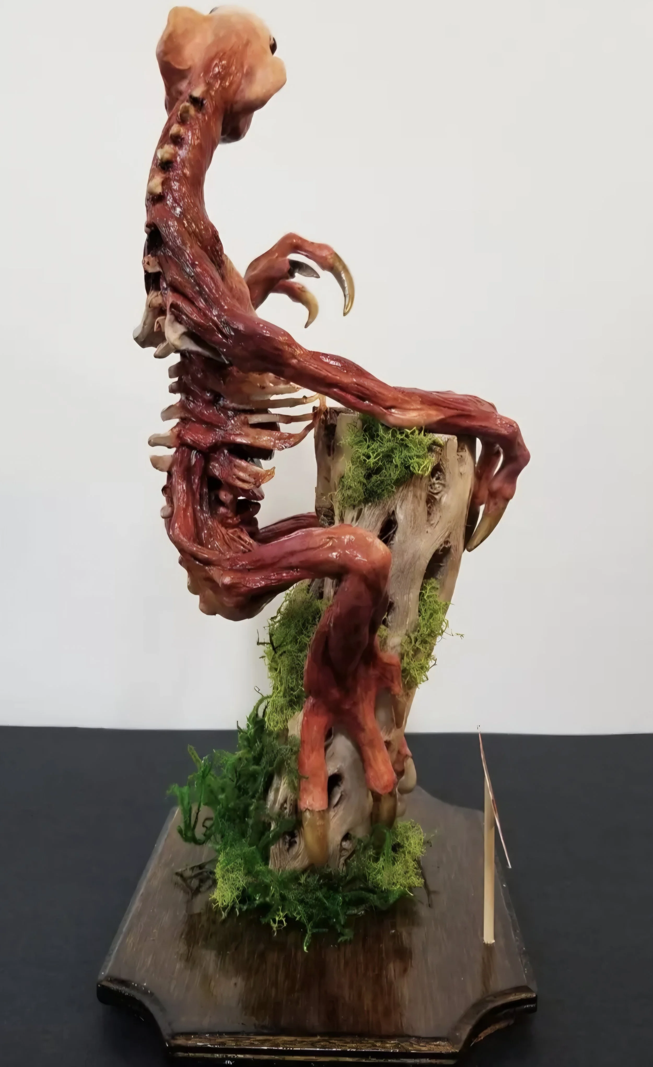 “Arbores Scandit Nothogenera”
:Unnatural History Ecorche:
Stone clay, polymer clay, wood, bone, acrylic mediums, & moss
12.5" x 7.5" x 5"
$450
Email oddmoddworks@gmail.com for Shipping Inquiries
