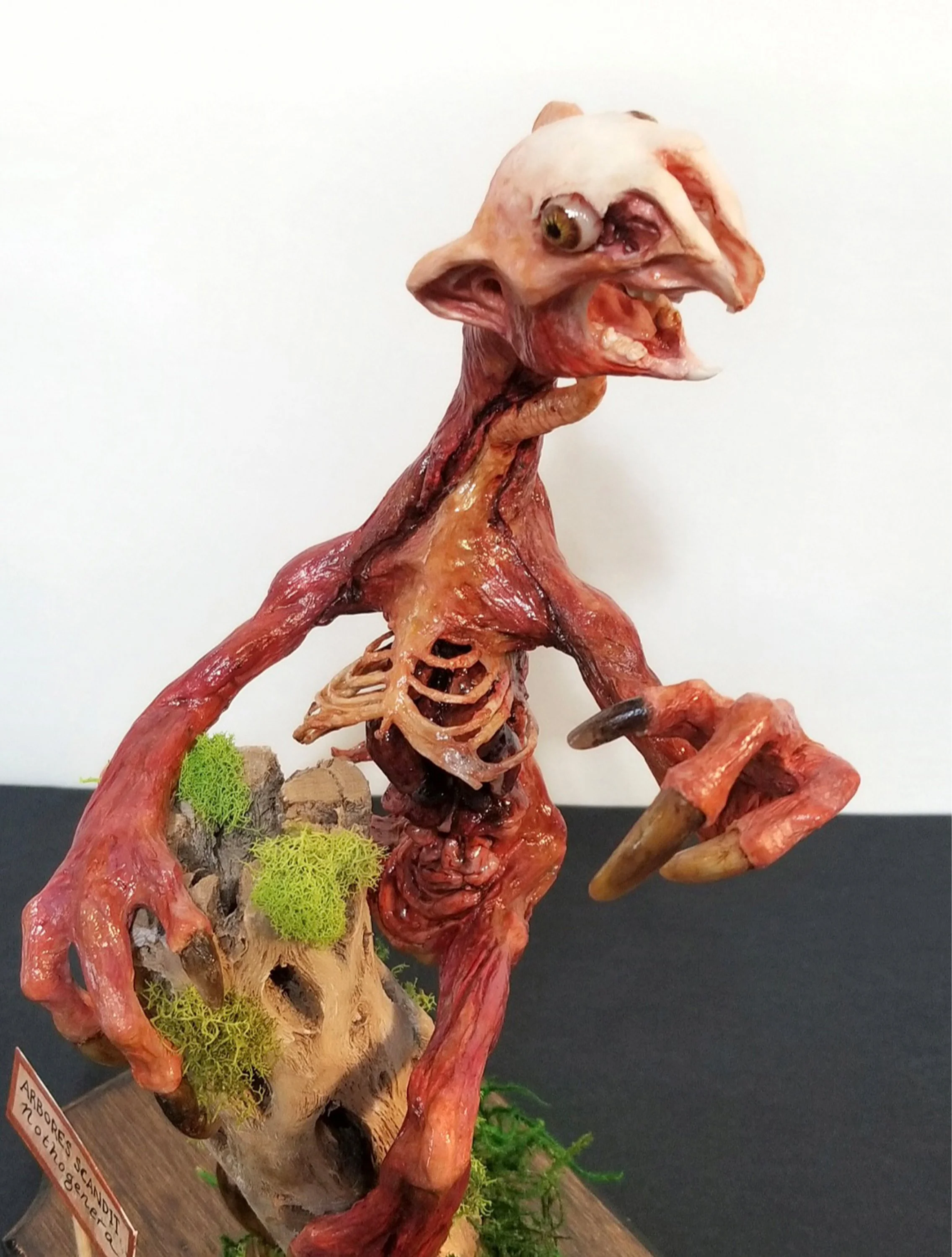 “Arbores Scandit Nothogenera”
:Unnatural History Ecorche:
Stone clay, polymer clay, wood, bone, acrylic mediums, & moss
12.5" x 7.5" x 5"
$450
(Details)
Email oddmoddworks@gmail.com for Shipping Inquiries
