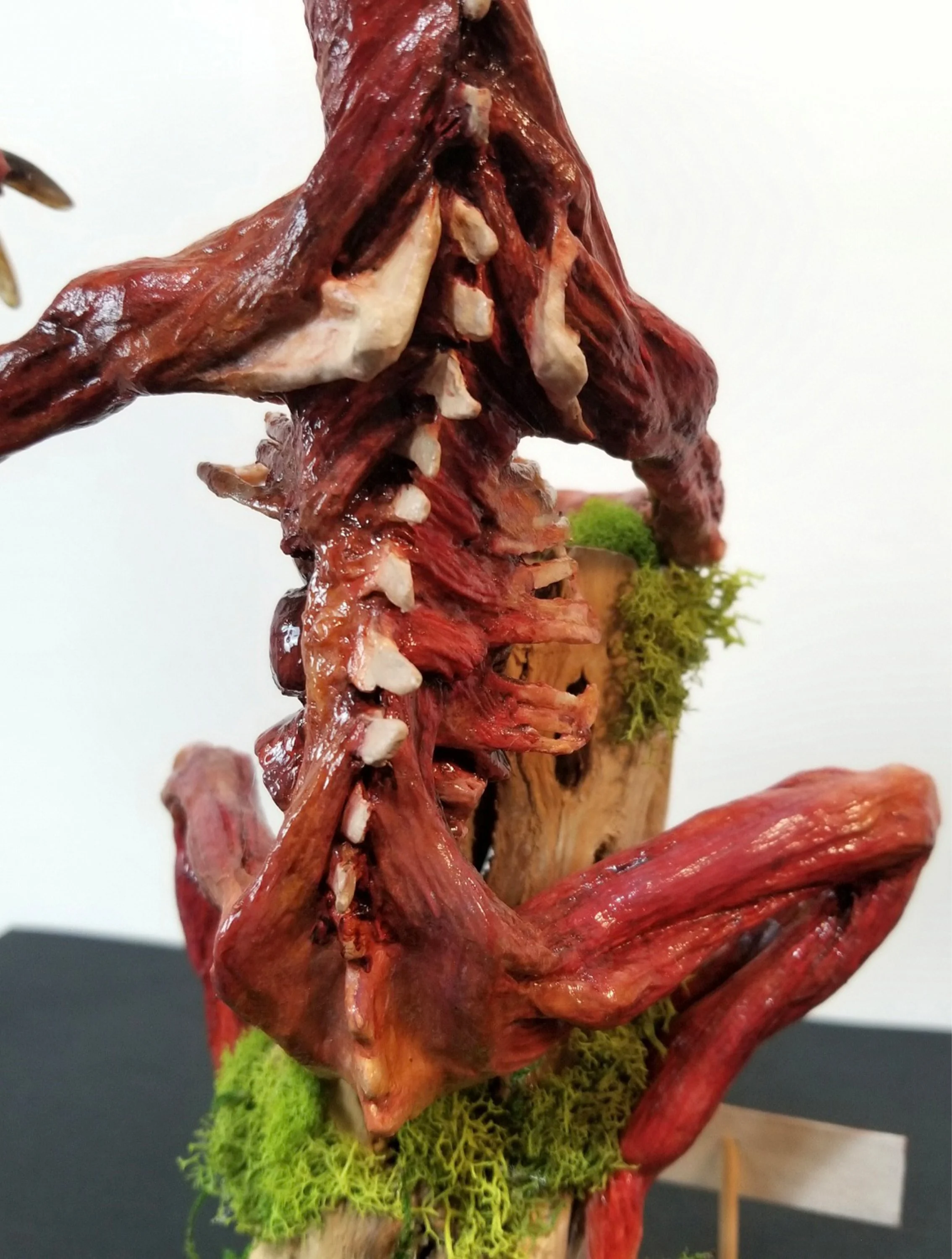 “Arbores Scandit Nothogenera”
:Unnatural History Ecorche:
Stone clay, polymer clay, wood, bone, acrylic mediums, & moss
12.5" x 7.5" x 5"
$450
(Details)
Email oddmoddworks@gmail.com for Shipping Inquiries
