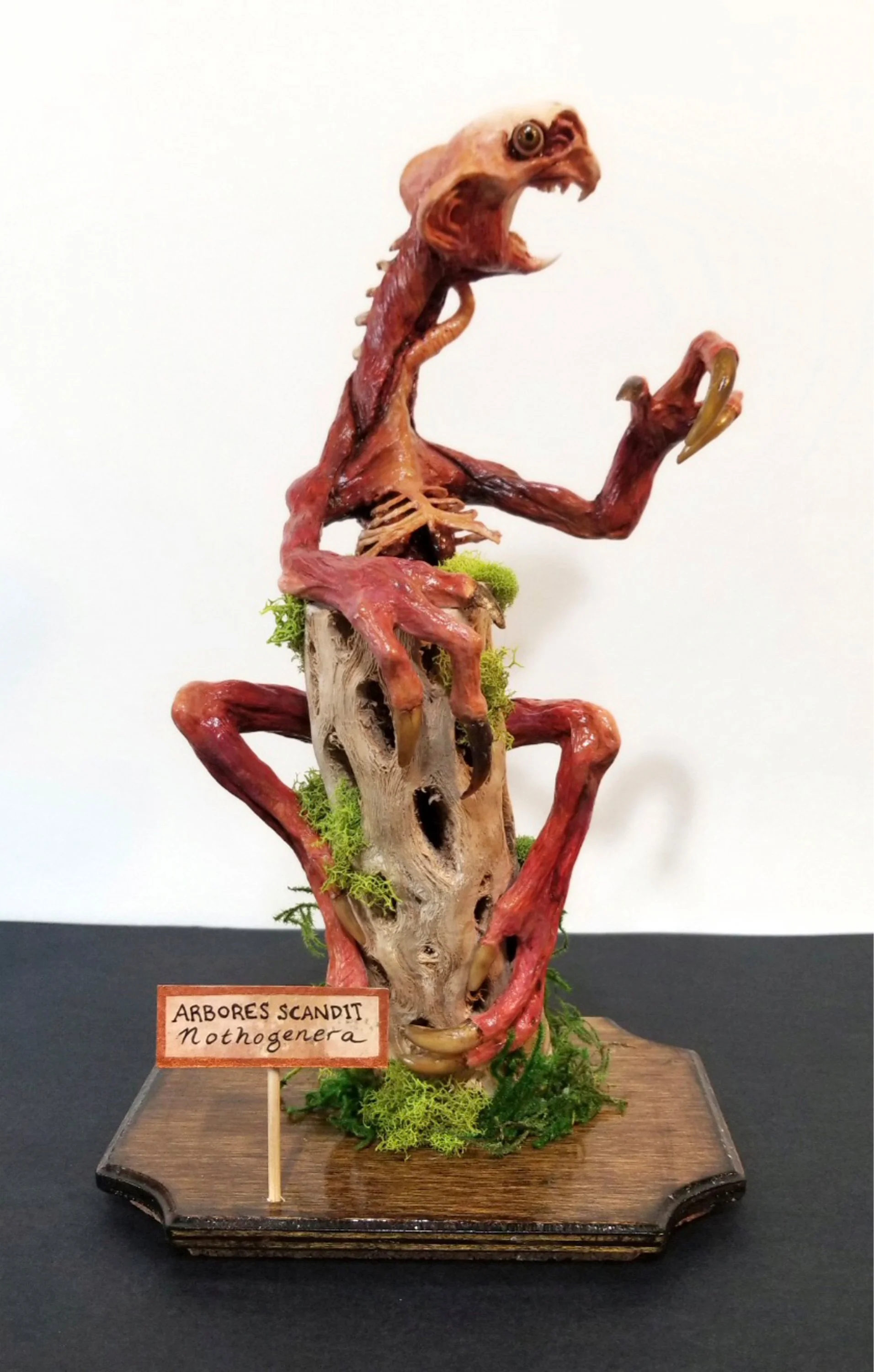 “Arbores Scandit Nothogenera”
:Unnatural History Ecorche:
Stone clay, polymer clay, wood, bone, acrylic mediums, & moss
12.5" x 7.5" x 5"
$450
(Details)
Email oddmoddworks@gmail.com for Shipping Inquiries
