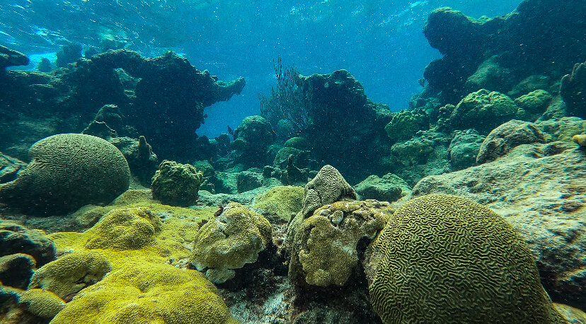 IMG_0019.jpg