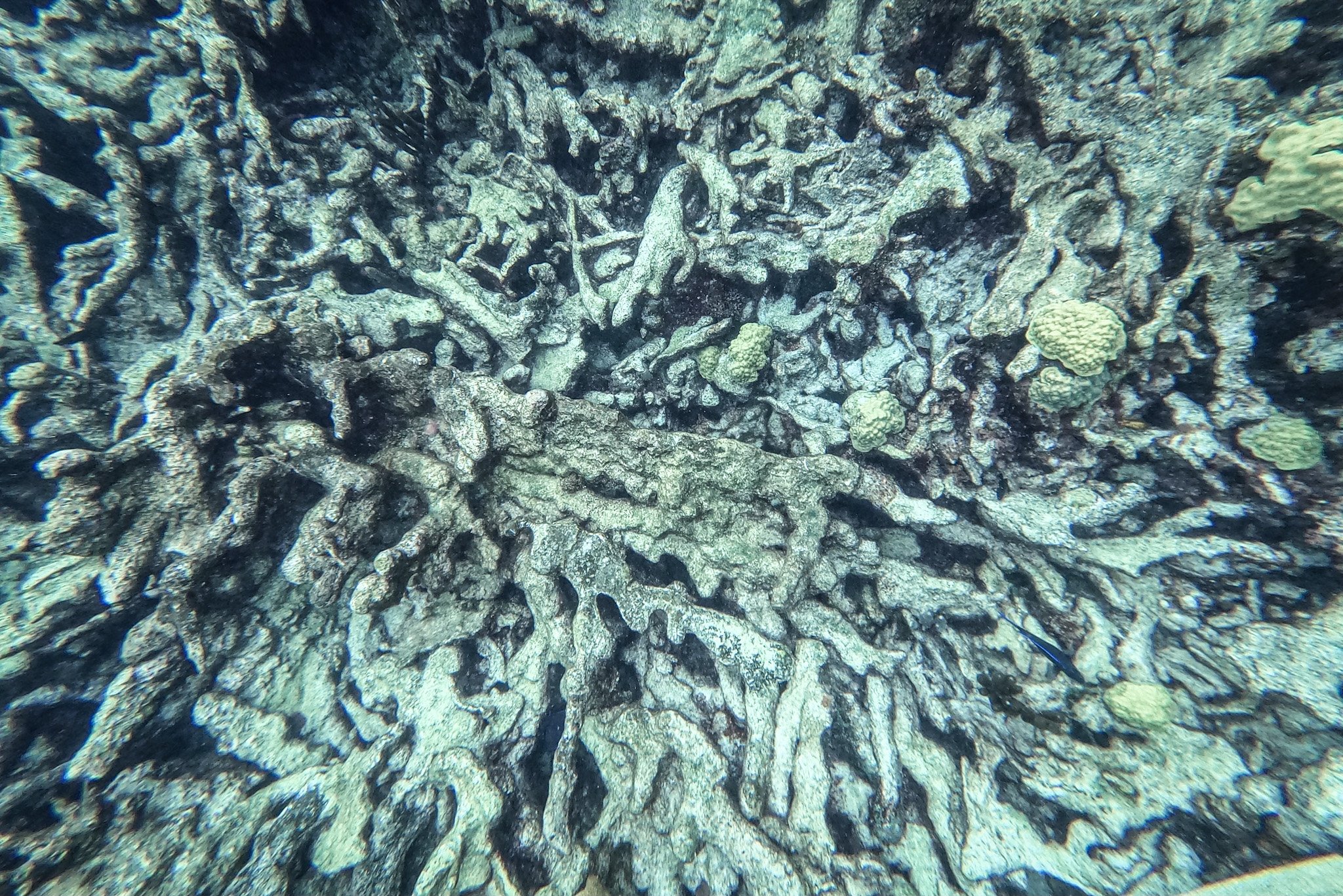 GOPR0680.jpg