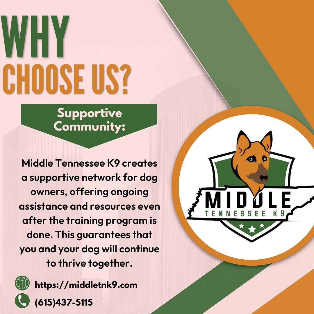 Training doesn&rsquo;t end &ndash; it&rsquo;s just the beginning. At Middle Tennessee K9, we&rsquo;re with you and your dog for the long haul! 🌟

Enroll your Pup today and watch your bond grow stronger! 
Call or text us 
🌐 https://middletnk9.com/
?