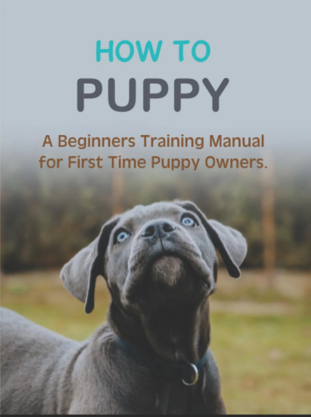 How to Puppy COrso cover.jpg