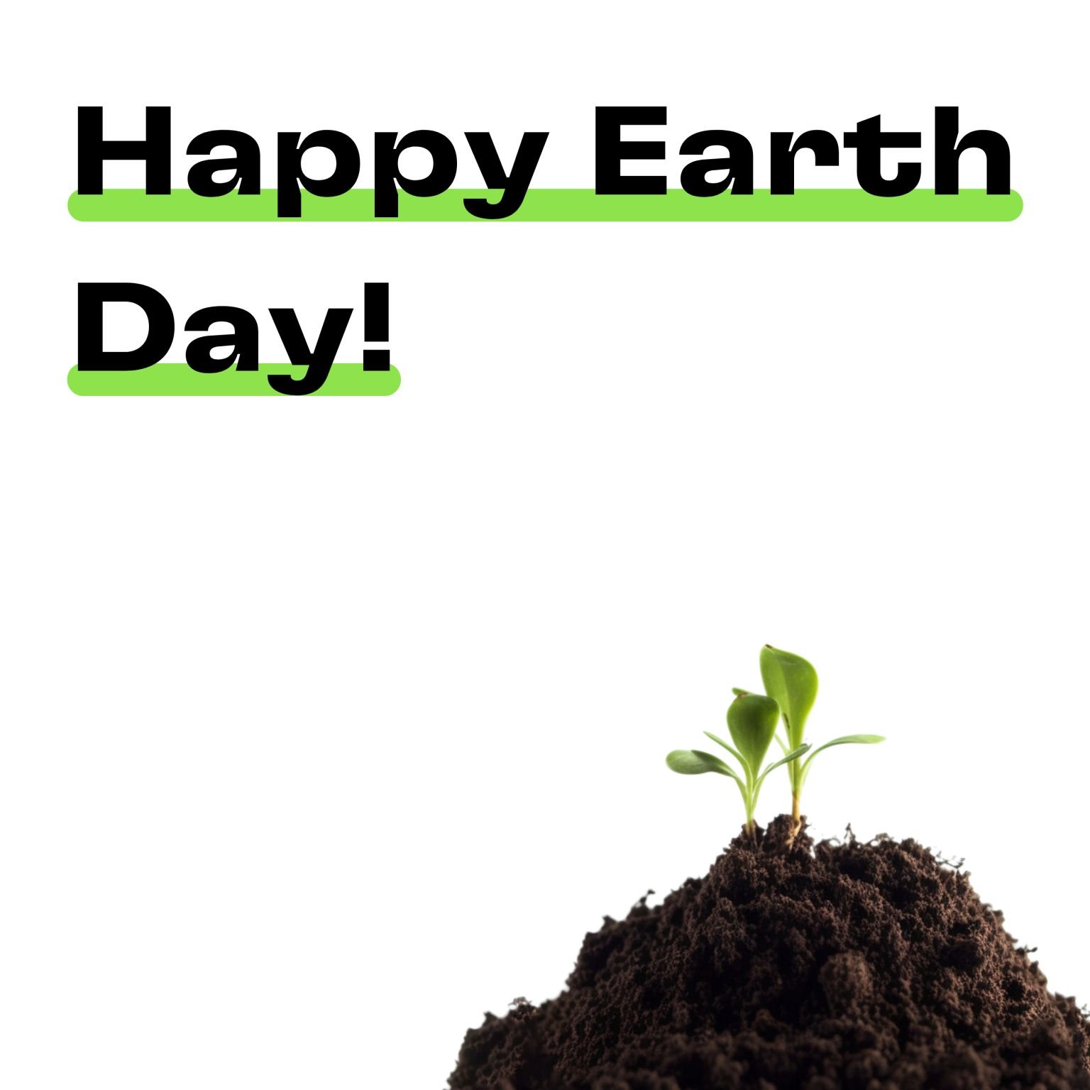 Level Agency Earth Day - Kristen Lucero Professional Portfolio.jpg