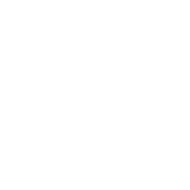 Loon Mountain Ministry