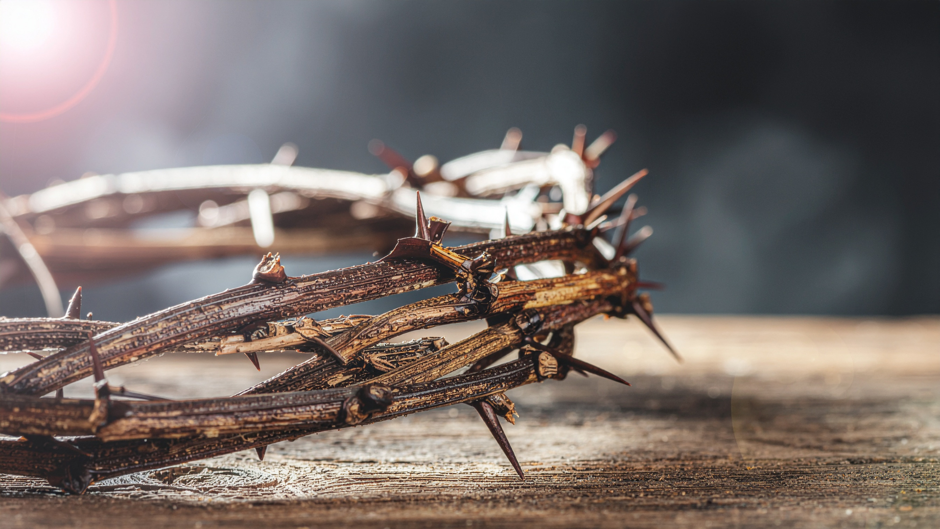 Living Through Dying