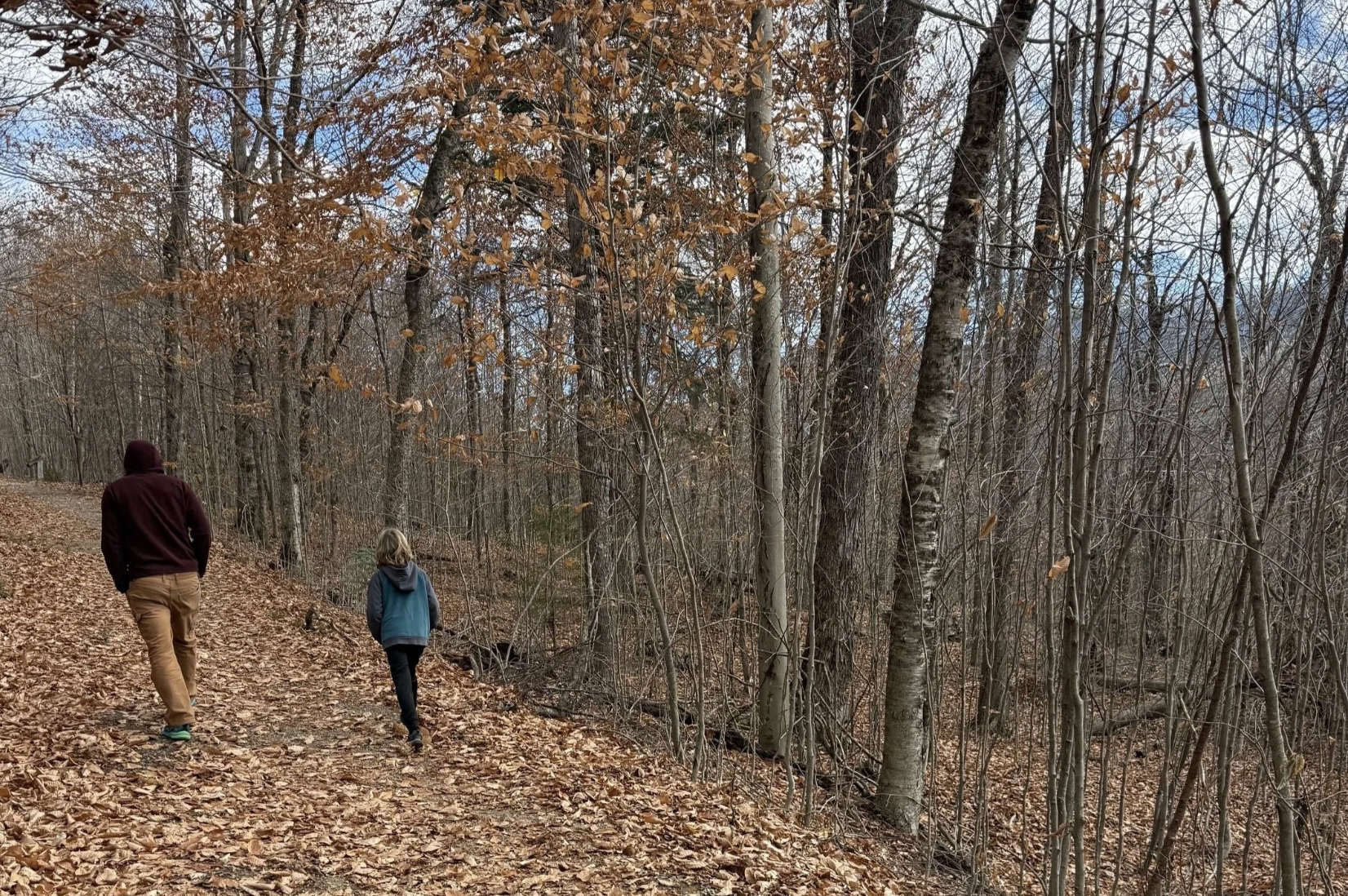 Hubbard Brook Tour