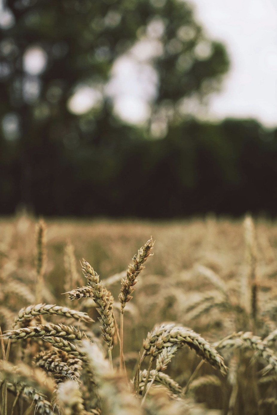Faithfulness in the Ordinary