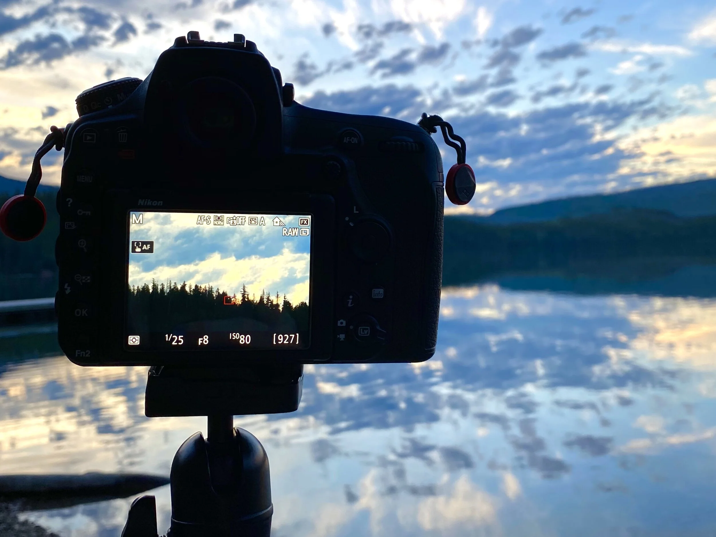 How I Fell in Love with Photography