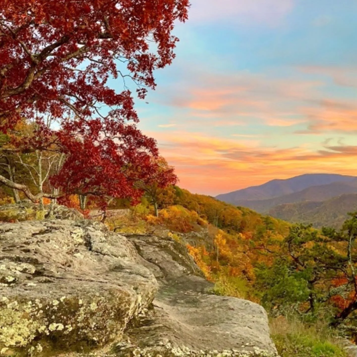 Blue Ridge Sunset ➡️ Scroll right.
Can it be autumn all year long?🍁🍂

💖🧶🤘🏻🌎😻📸 #explorewithknitsy #travelwithknitsy #knitwithknitsy