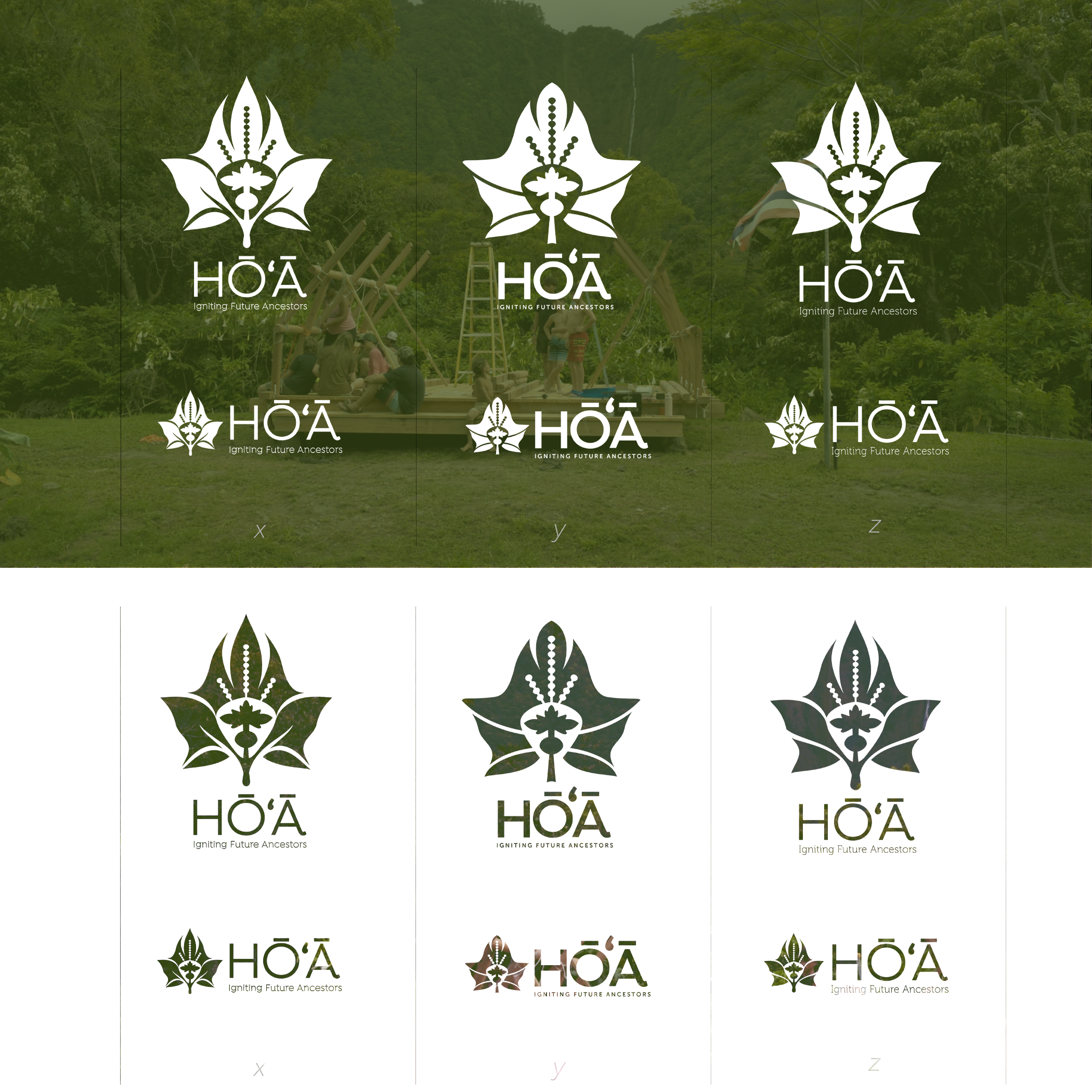 hoa.png
