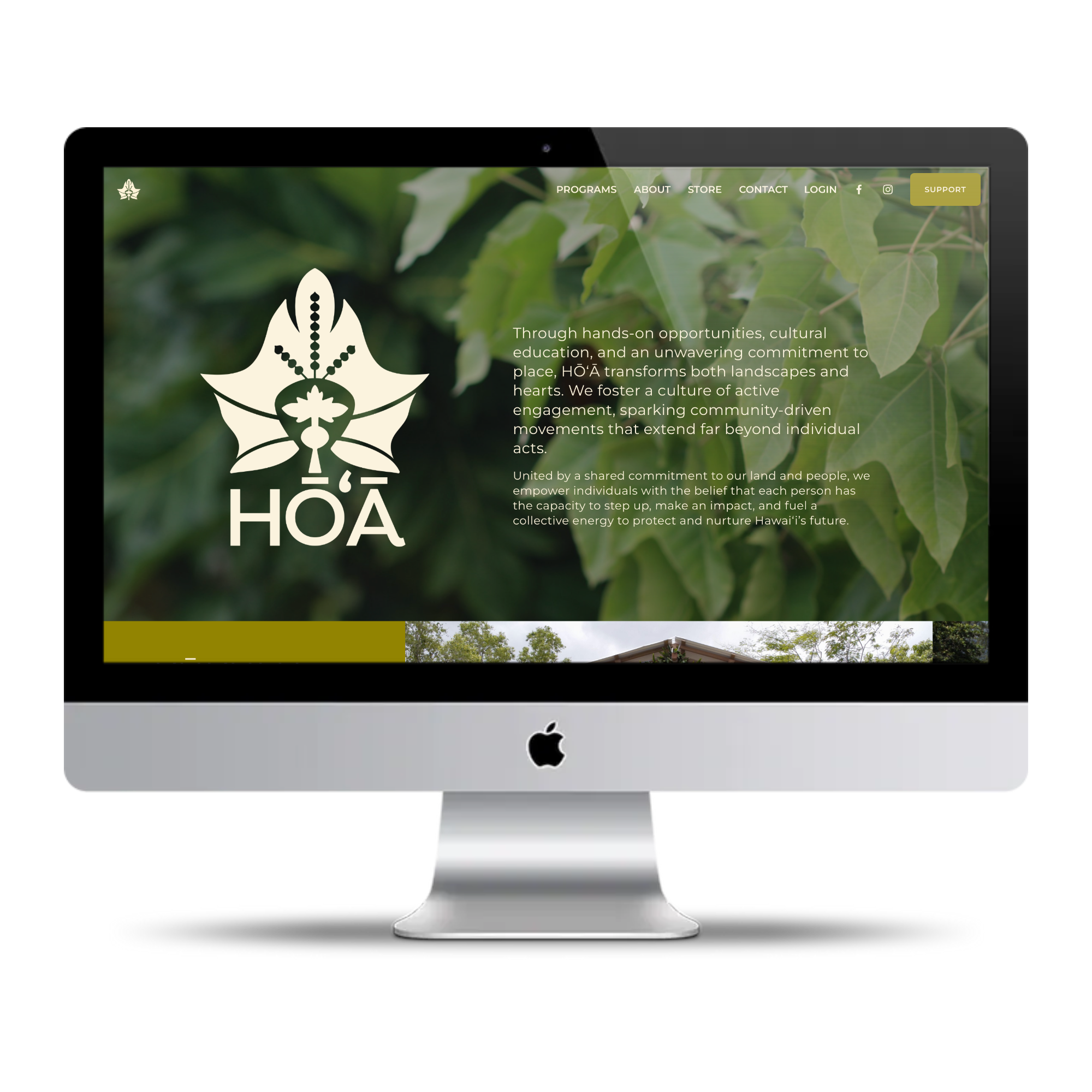 HŌʻĀ23.png