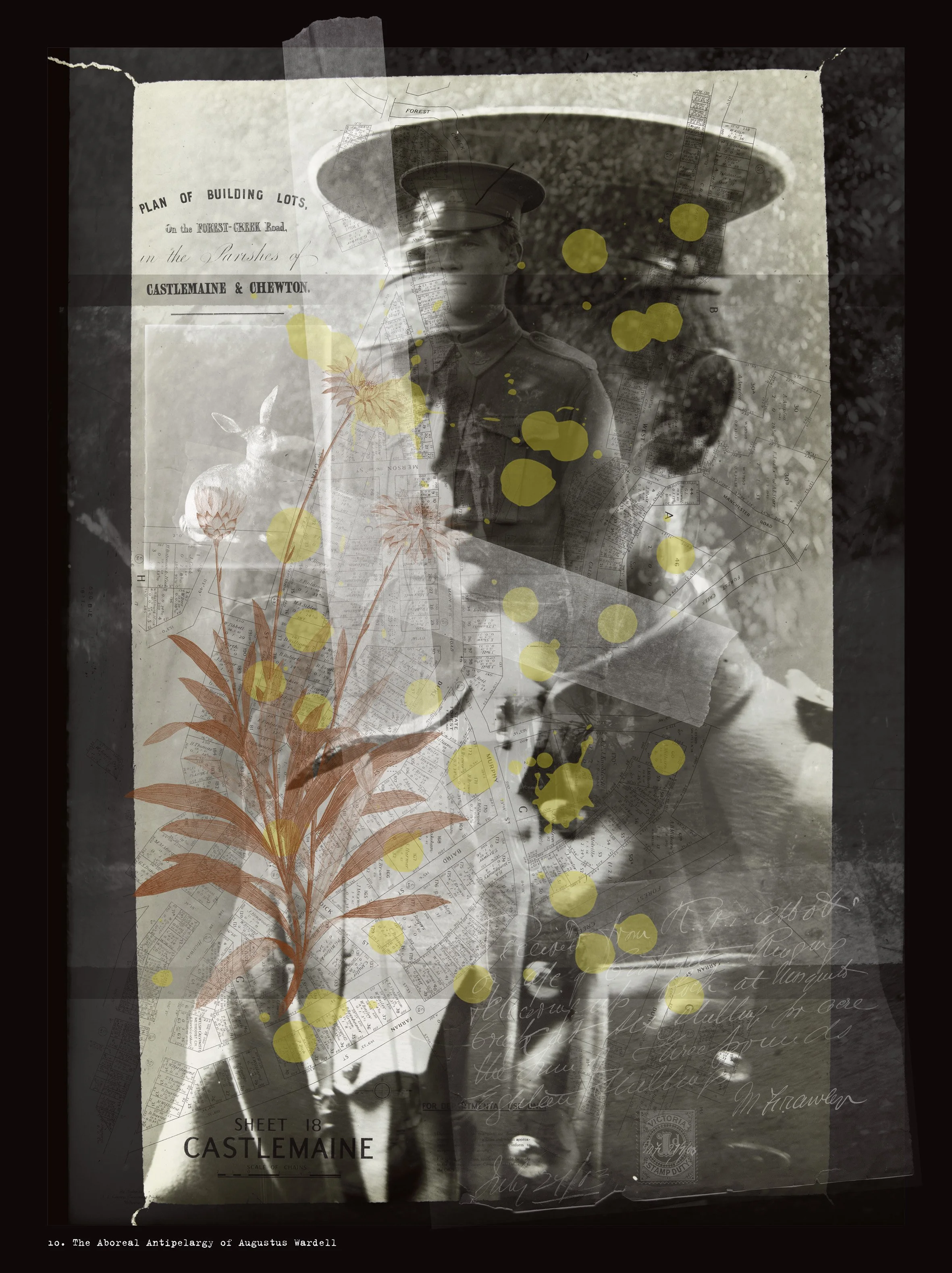 10. The Aboreal Antipelargy of Augustus Wardell