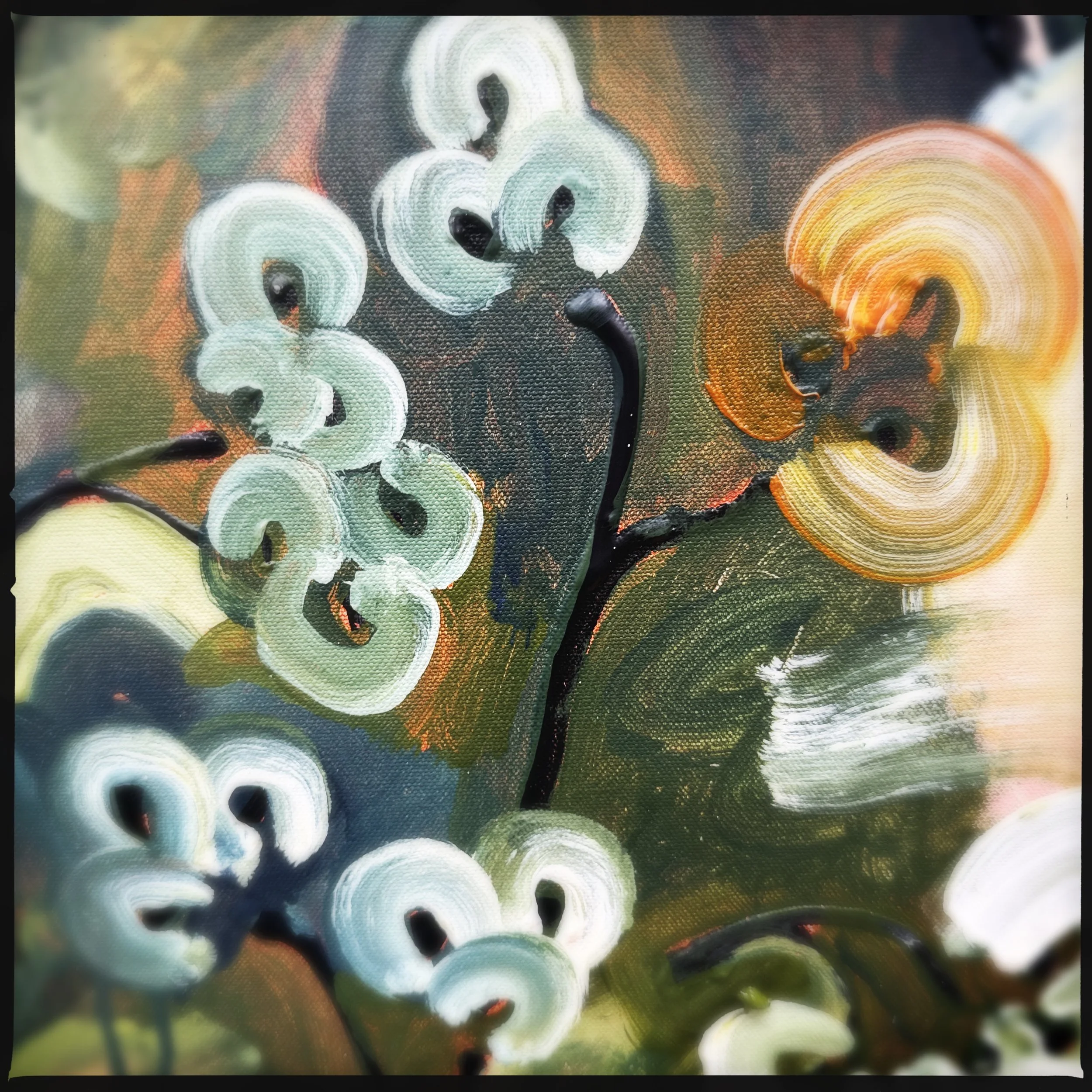 HipstamaticPhoto-774775579.390224.jpeg
