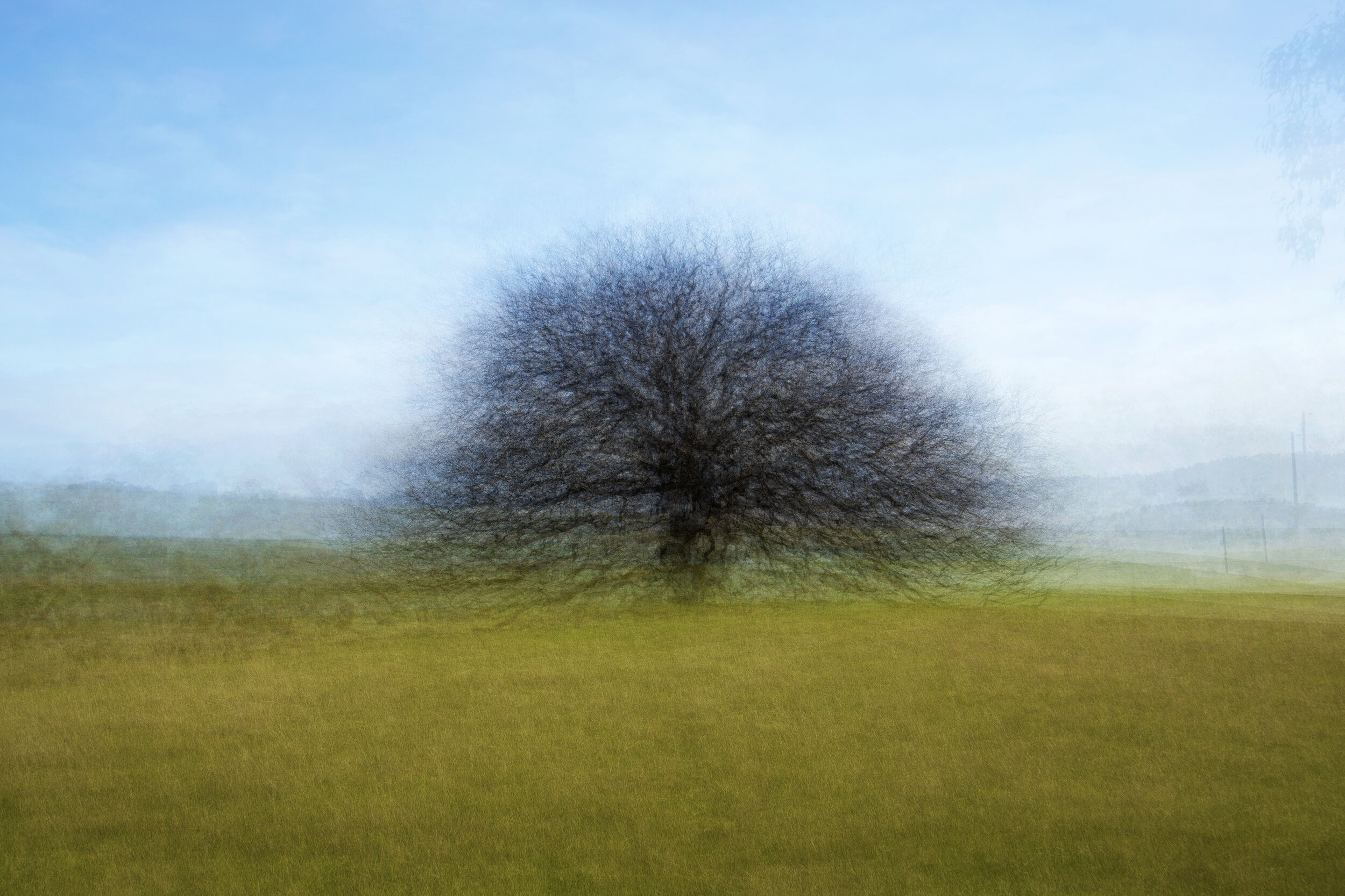 Oak, Glenluce 4-7-19-4
