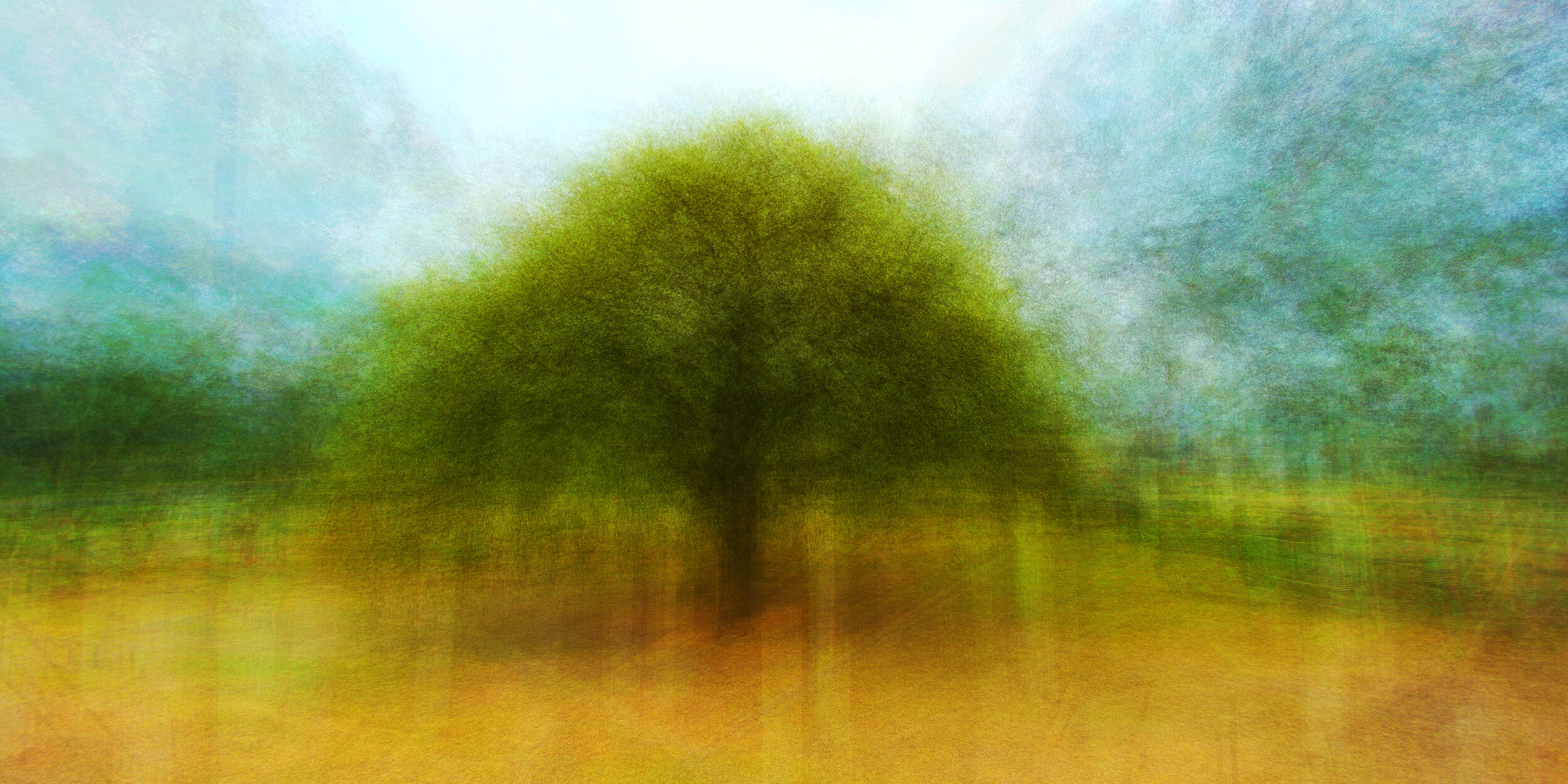 Oak, Harcourt Reservoir 10-19-2.jpg