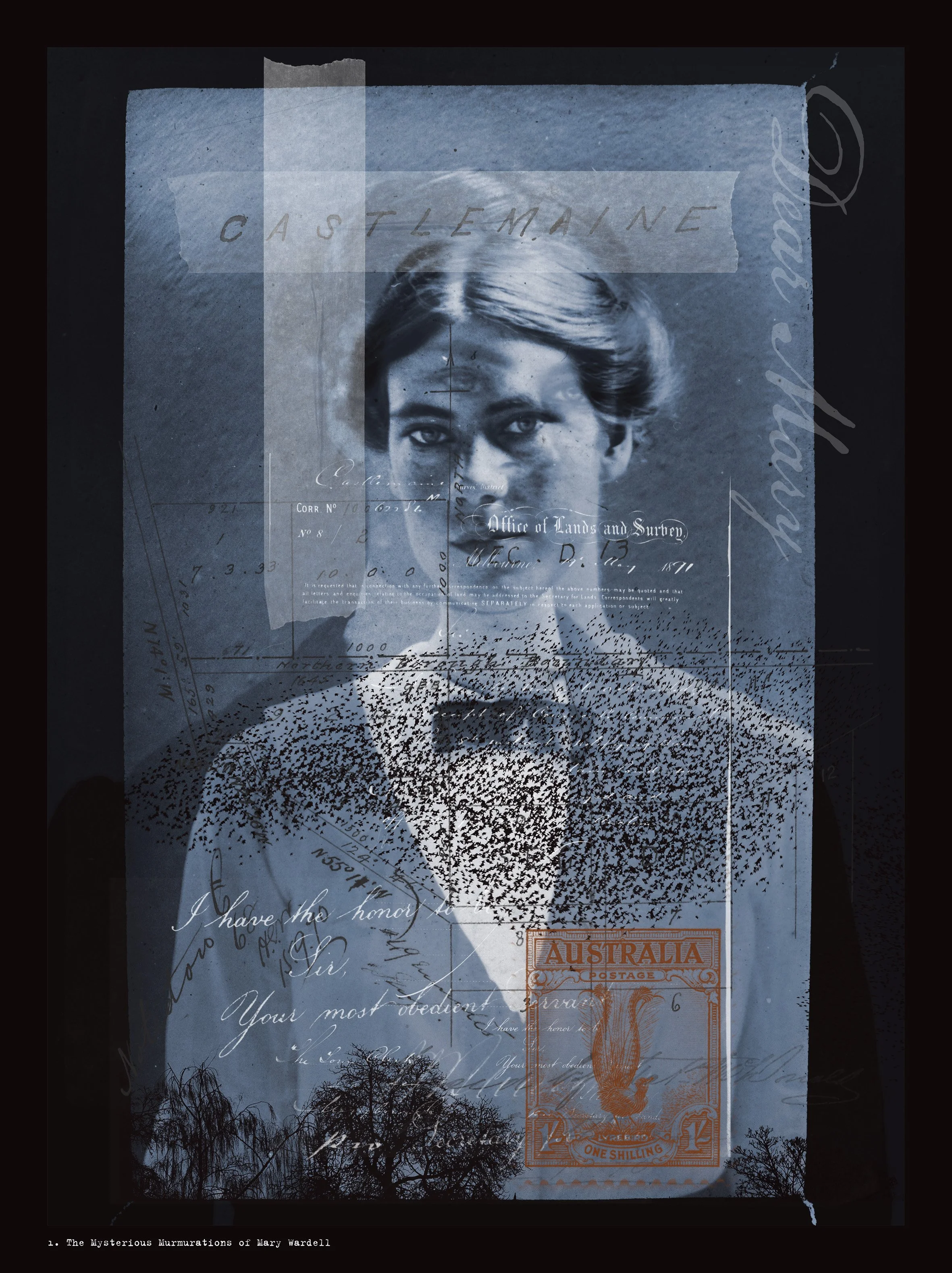 1. The Mysterious Murmurations of Mary Wardell