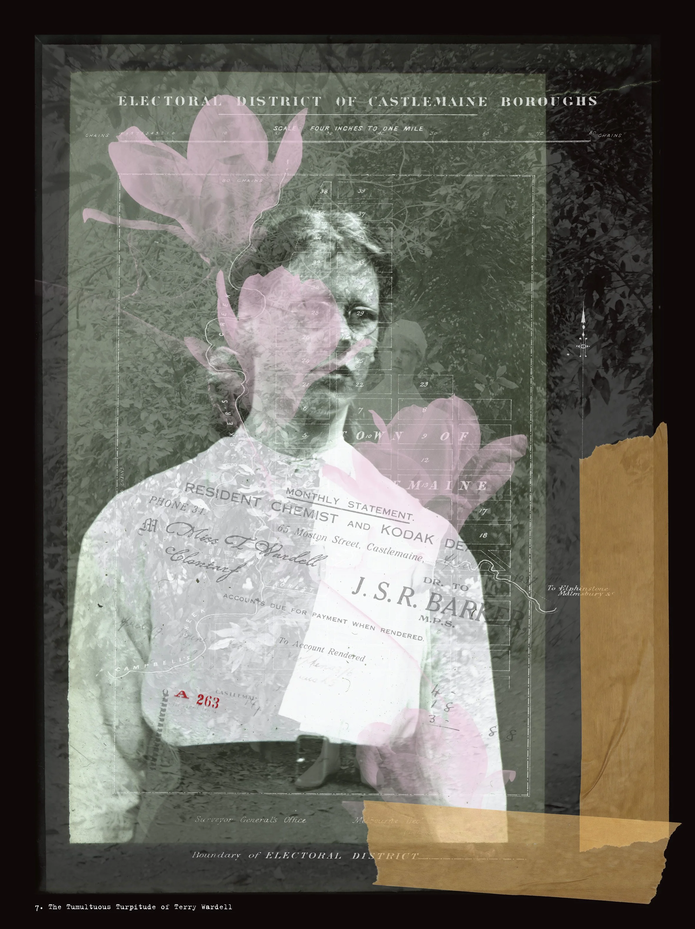 7. The Tumultuous Turpitude of Terry Wardell