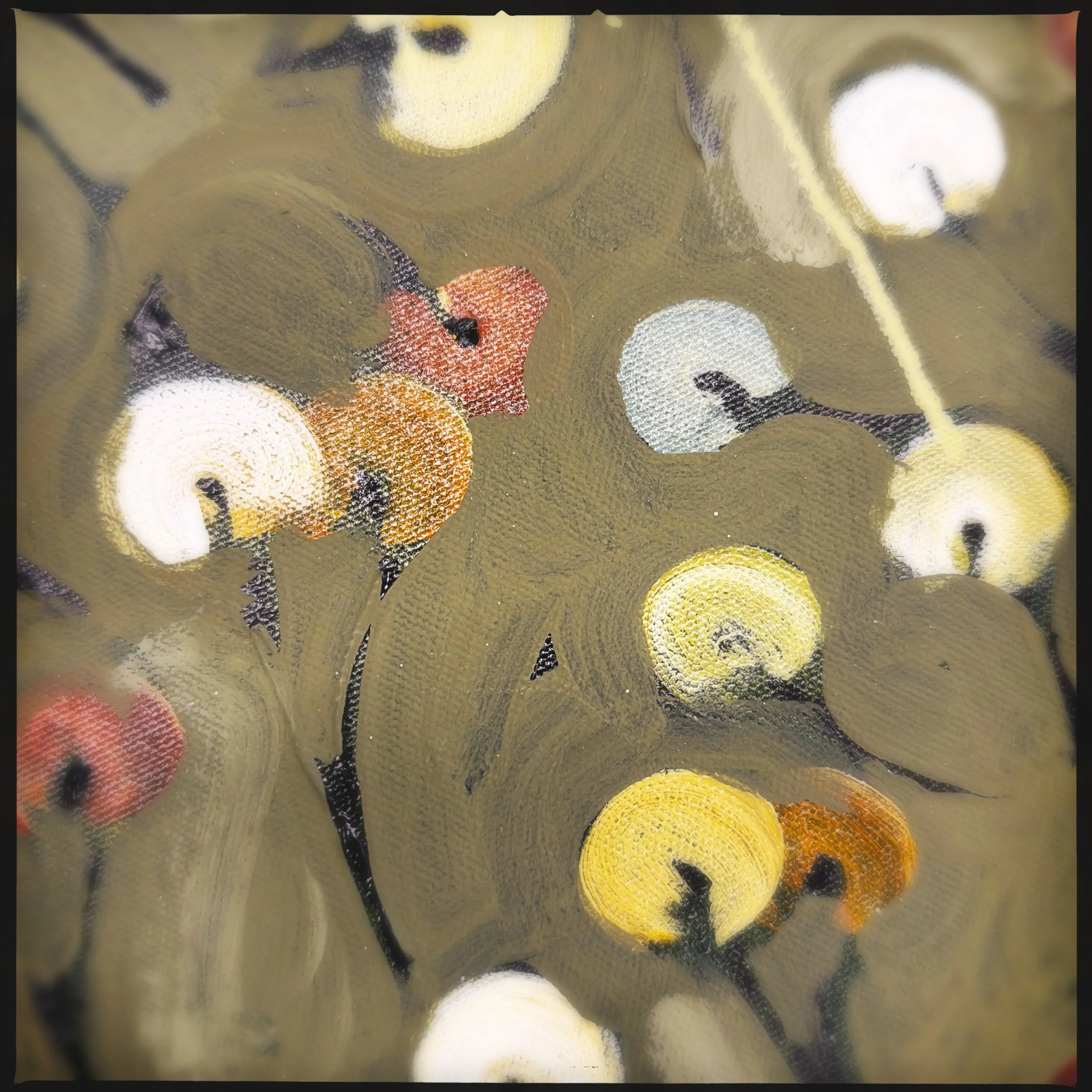 HipstamaticPhoto-797919895.858199.jpeg