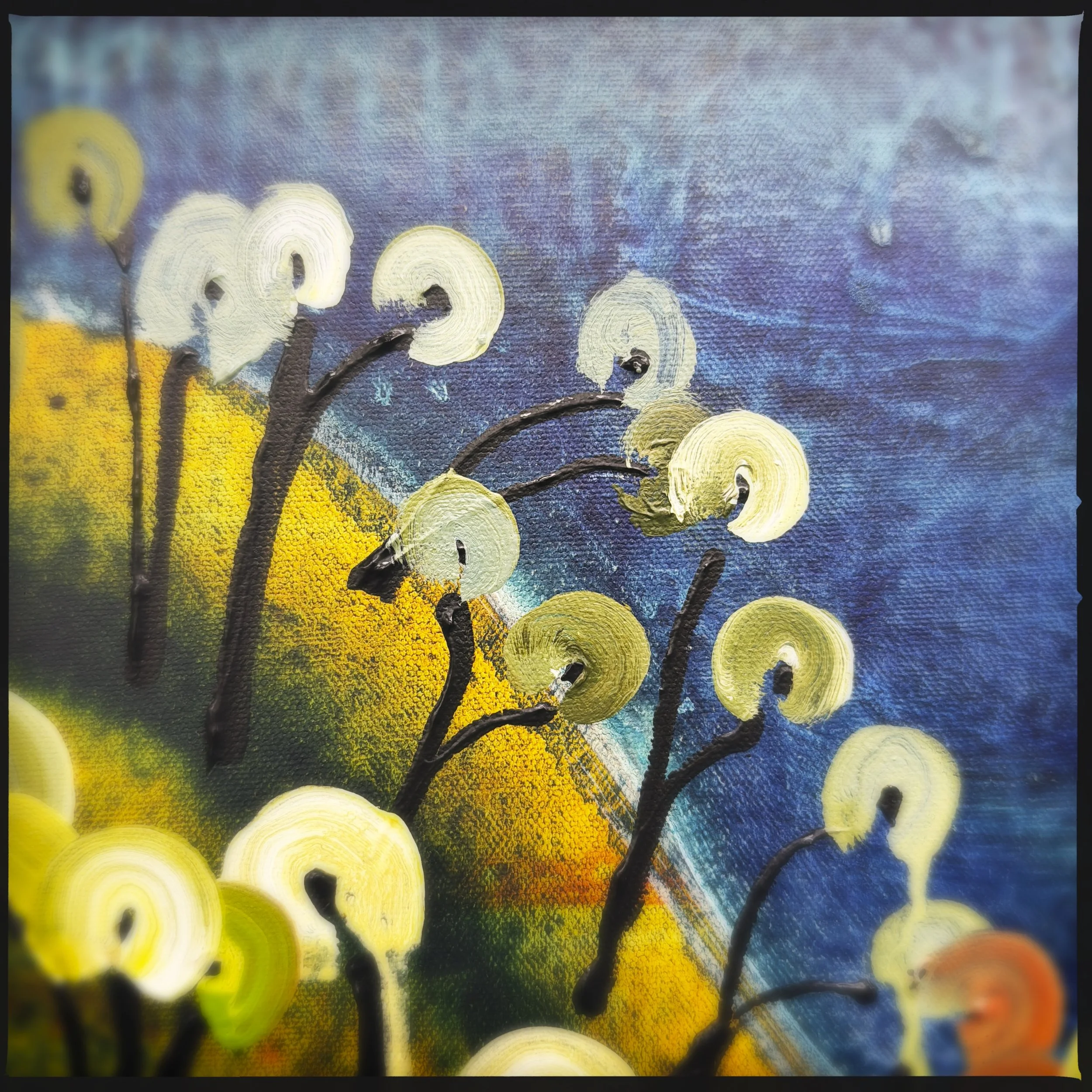 HipstamaticPhoto-797240198.408469.jpeg