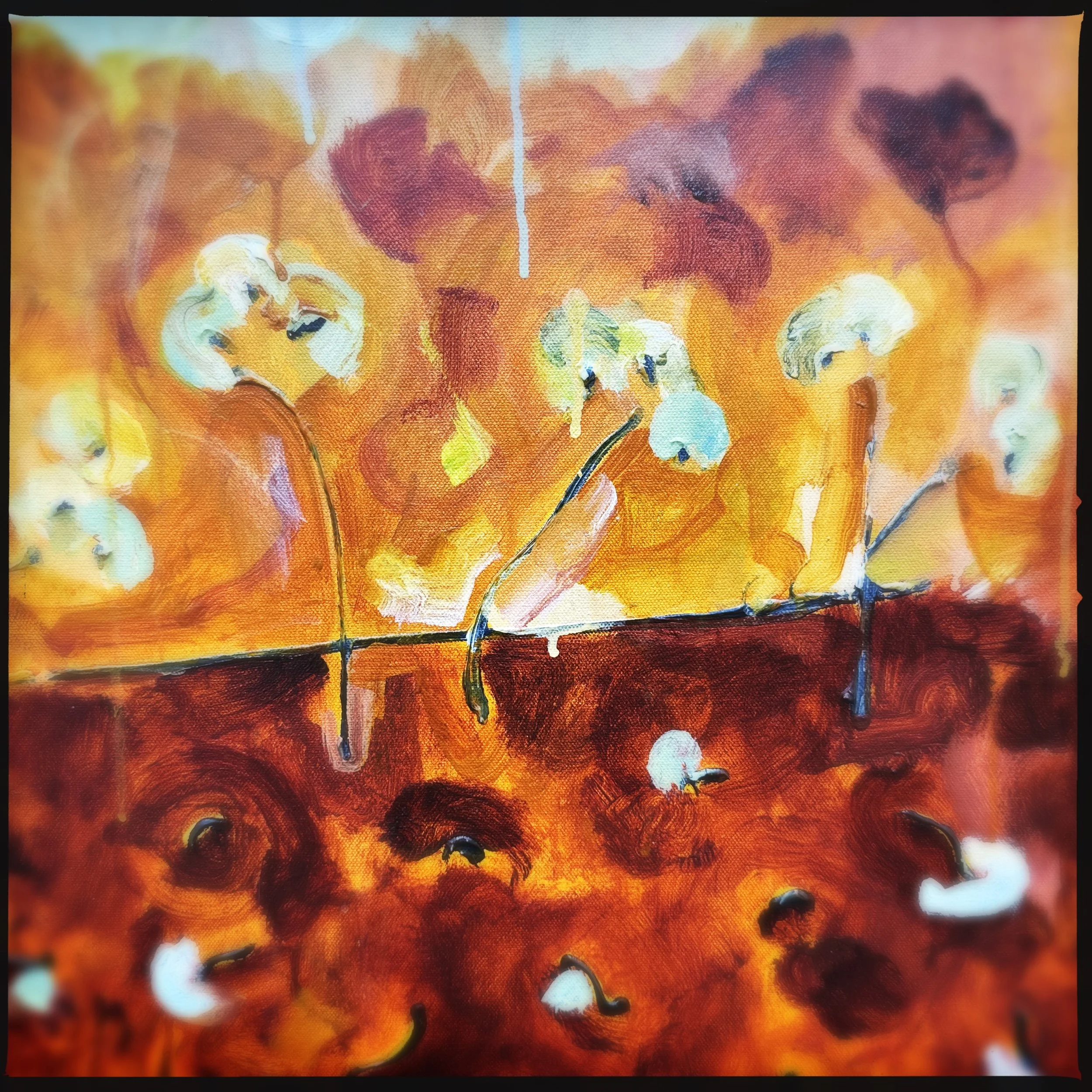 HipstamaticPhoto-766999099.345023.jpeg