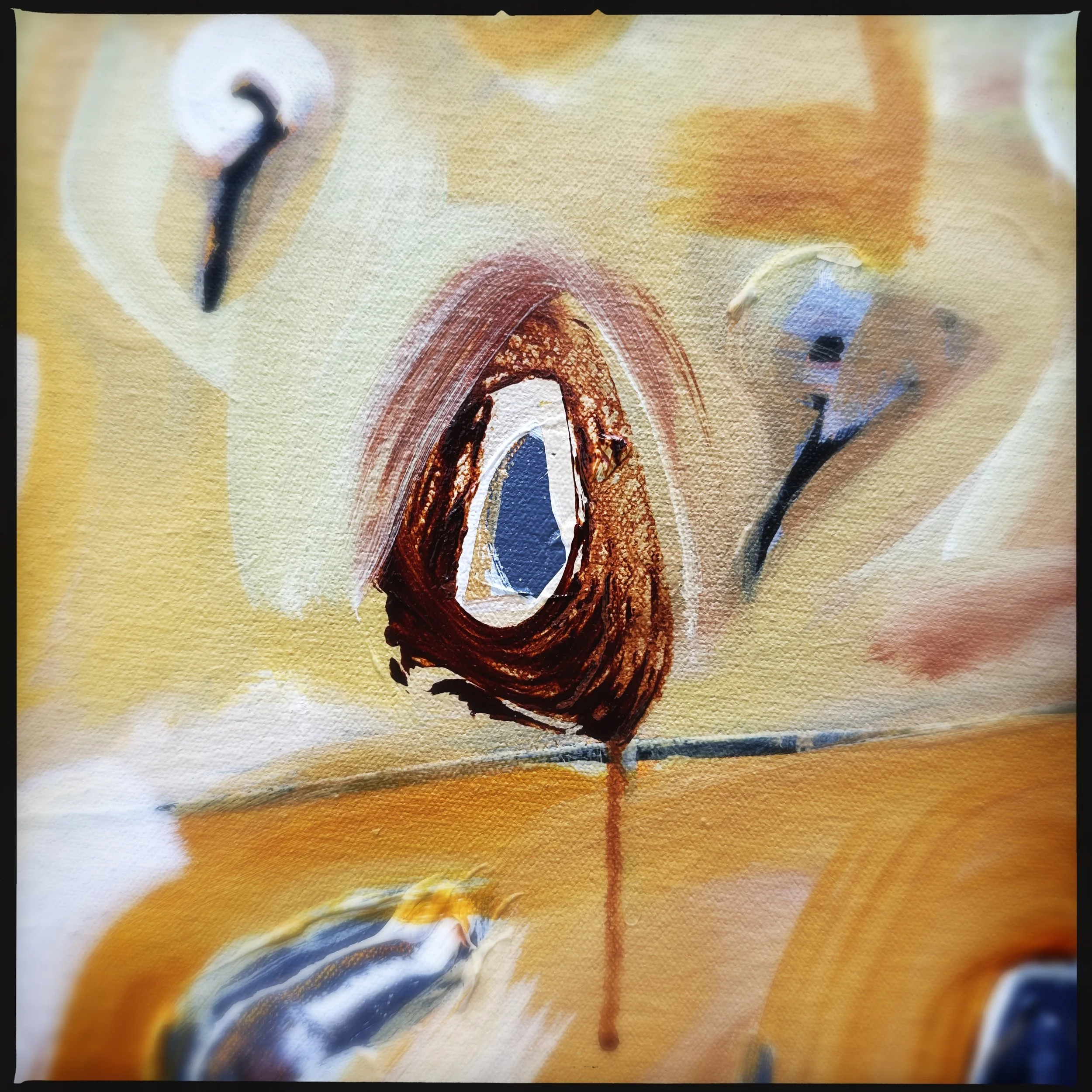 HipstamaticPhoto-756338040.768747.jpg