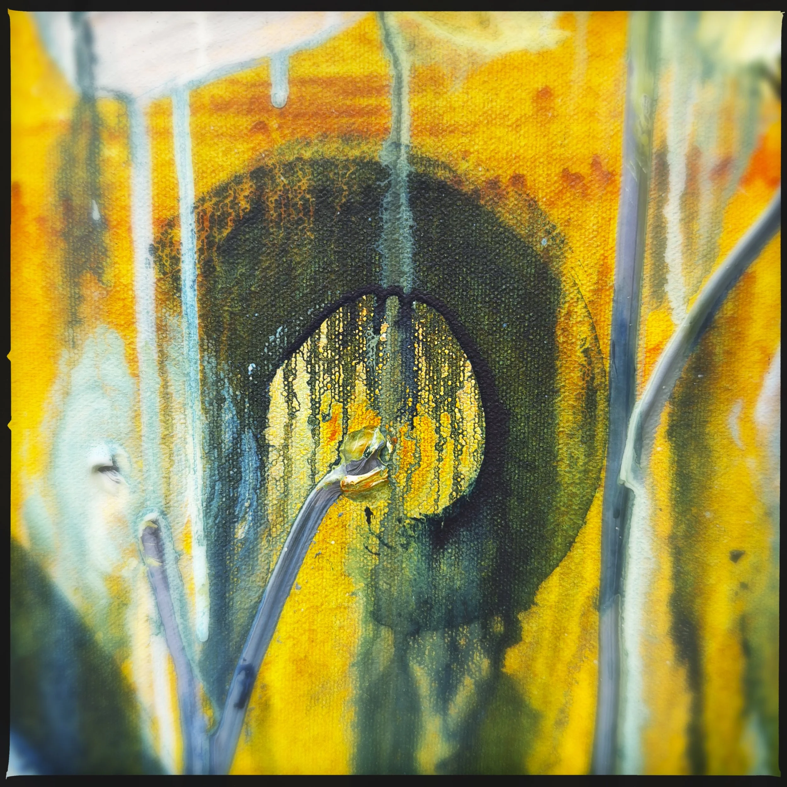 HipstamaticPhoto-796173636.672308.jpeg