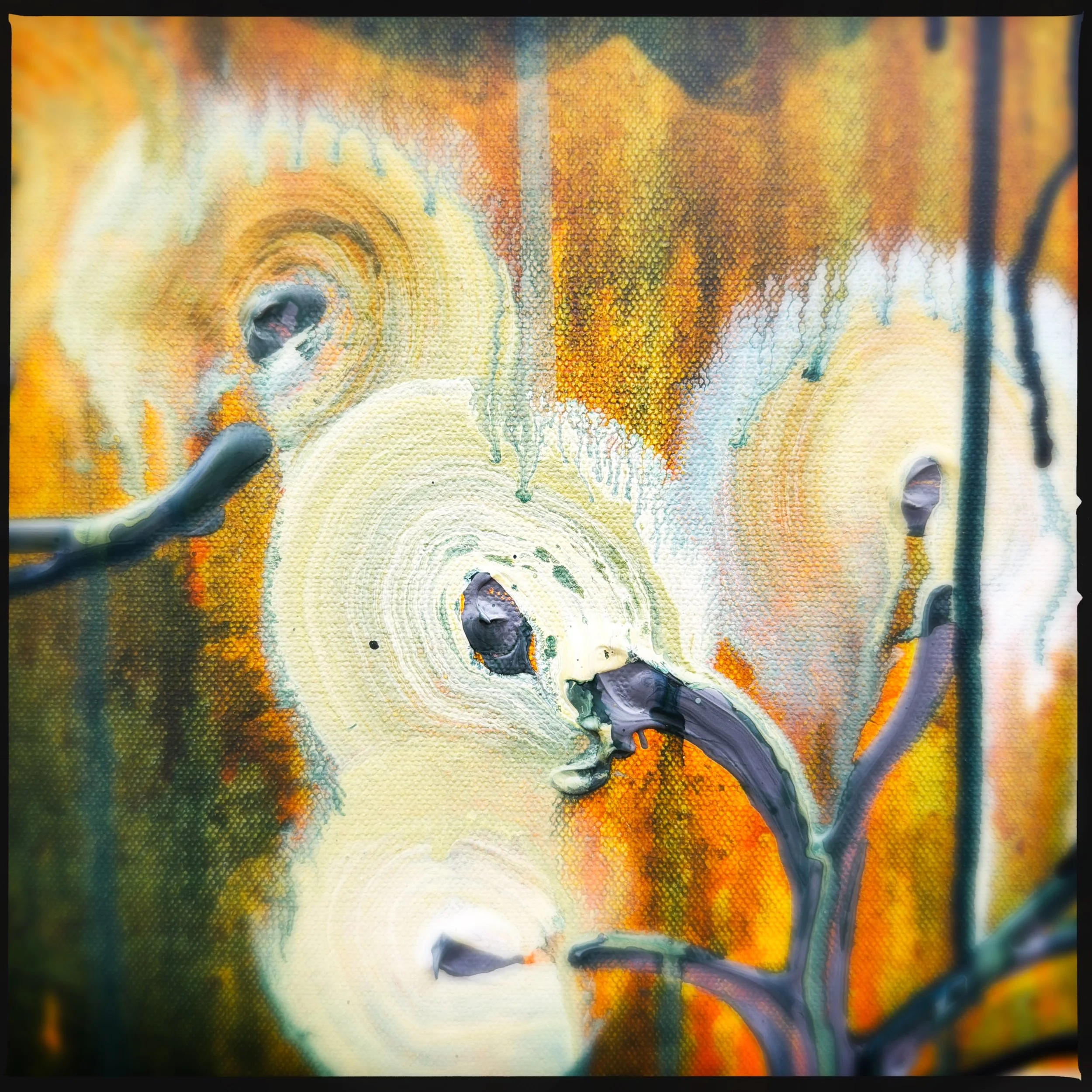 HipstamaticPhoto-791534989.768256.jpeg